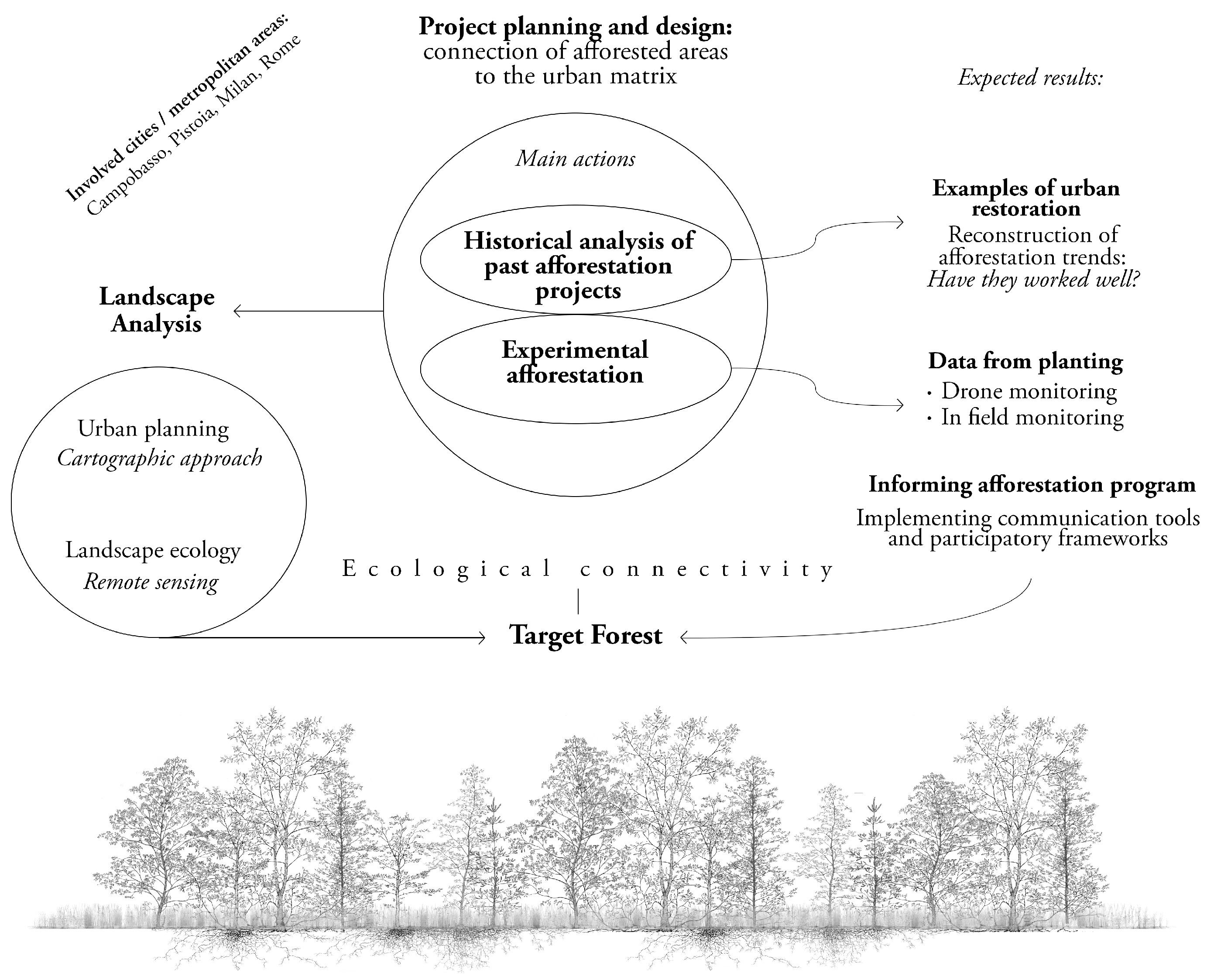 Plants 14 00404 g002