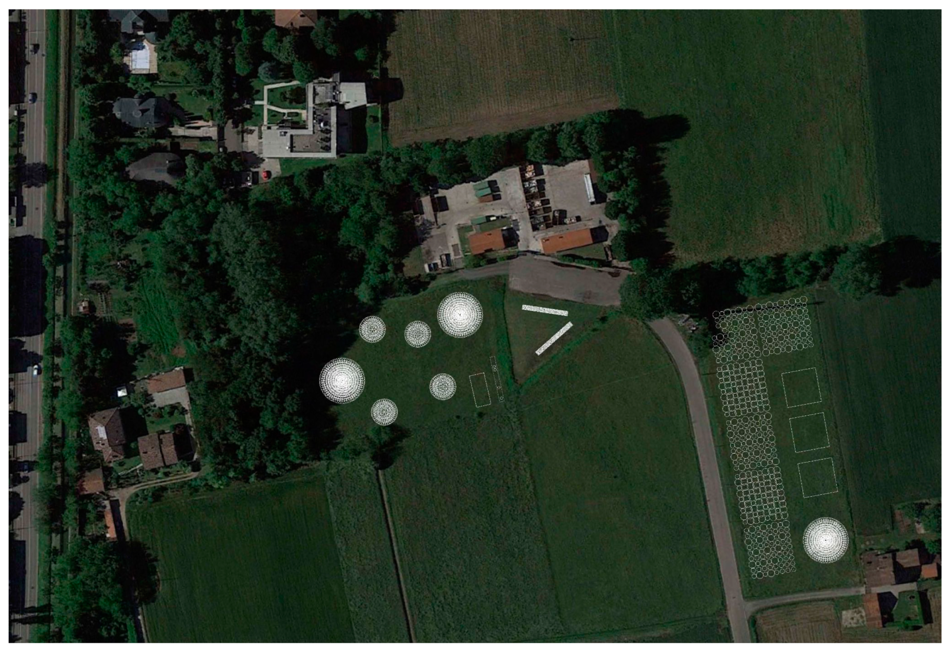 Plants 14 00404 g005