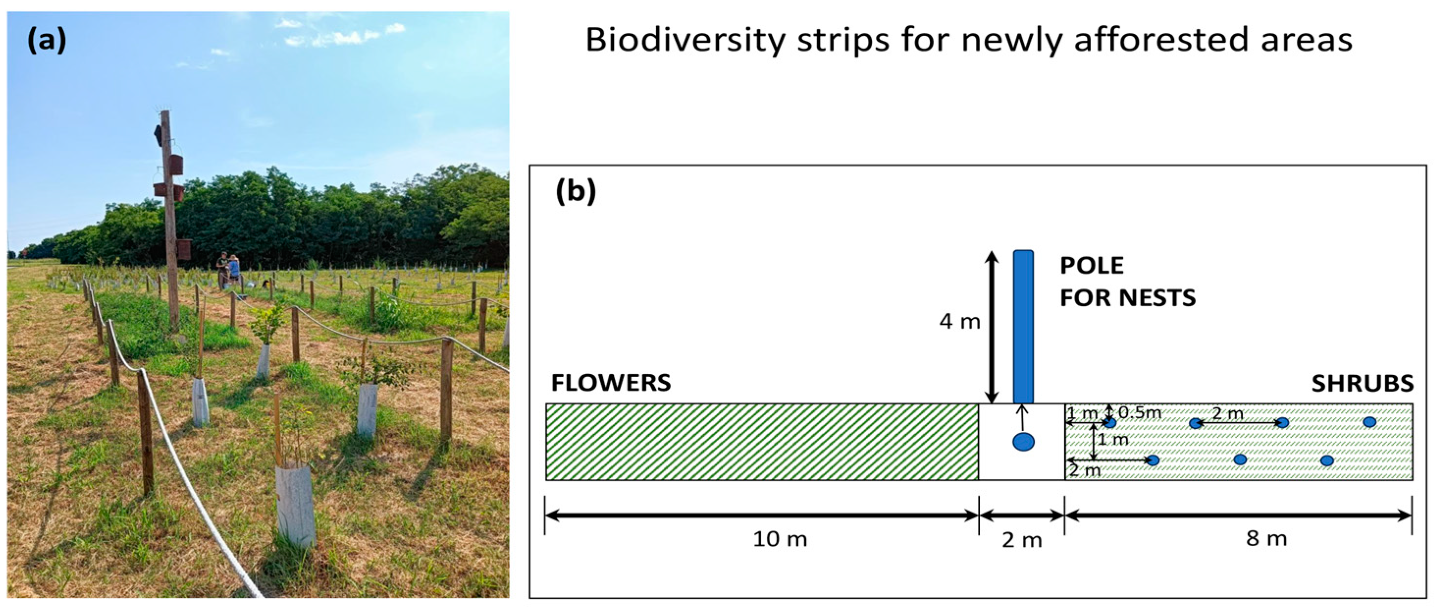 Plants 14 00404 g006