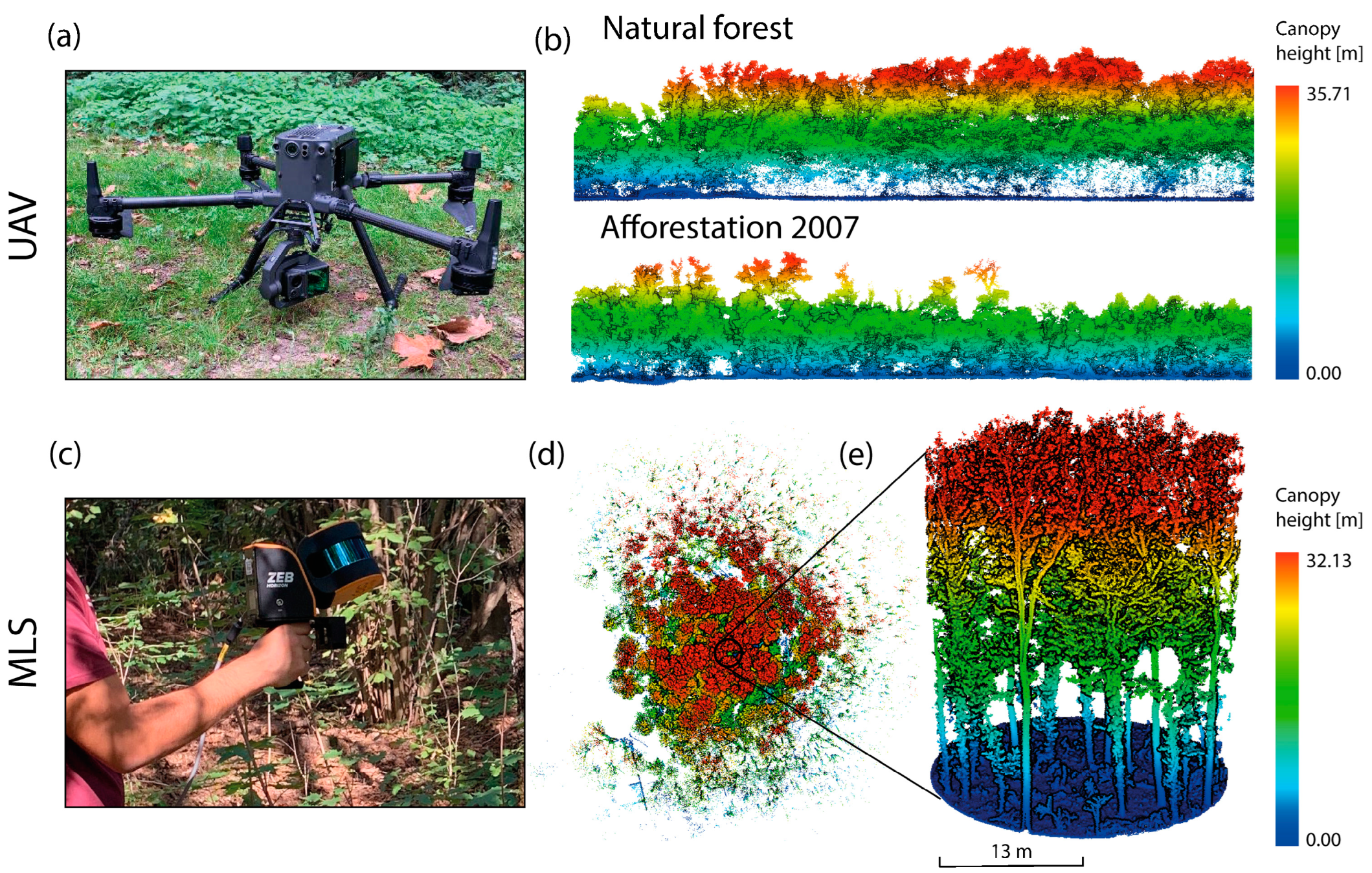 Plants 14 00404 g007