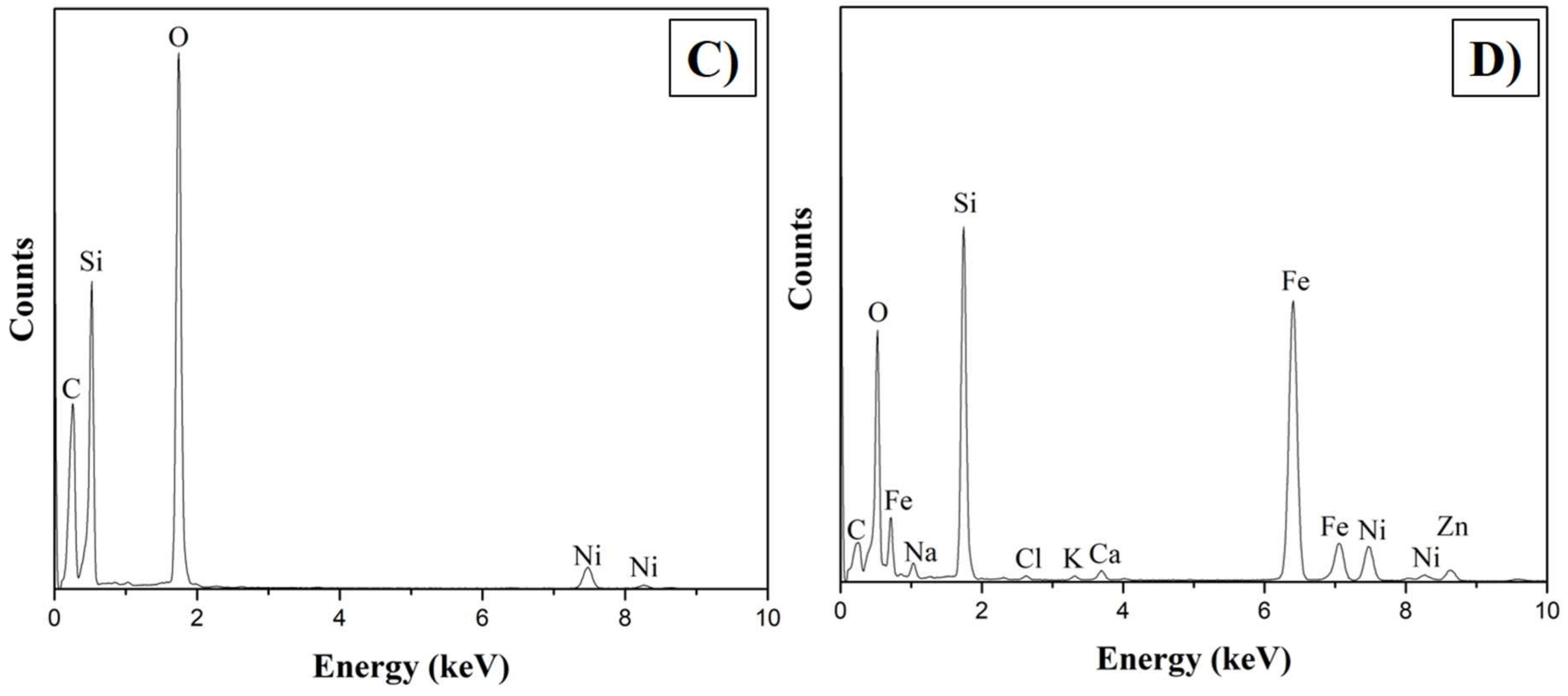 Plants 14 00405 g002b