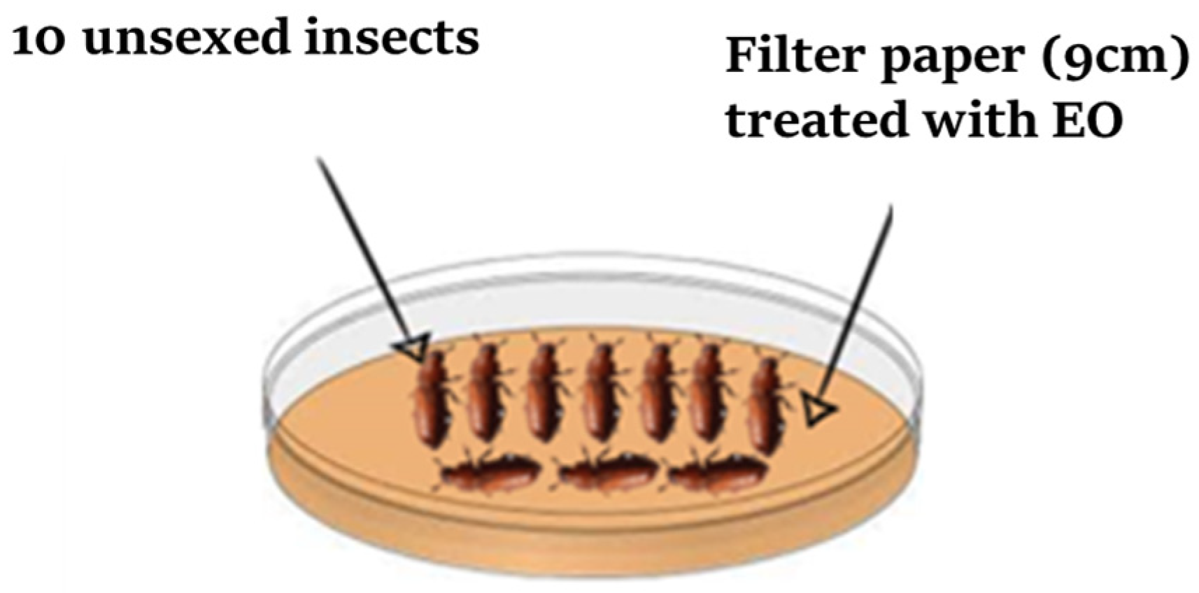 Plants 14 00407 g003