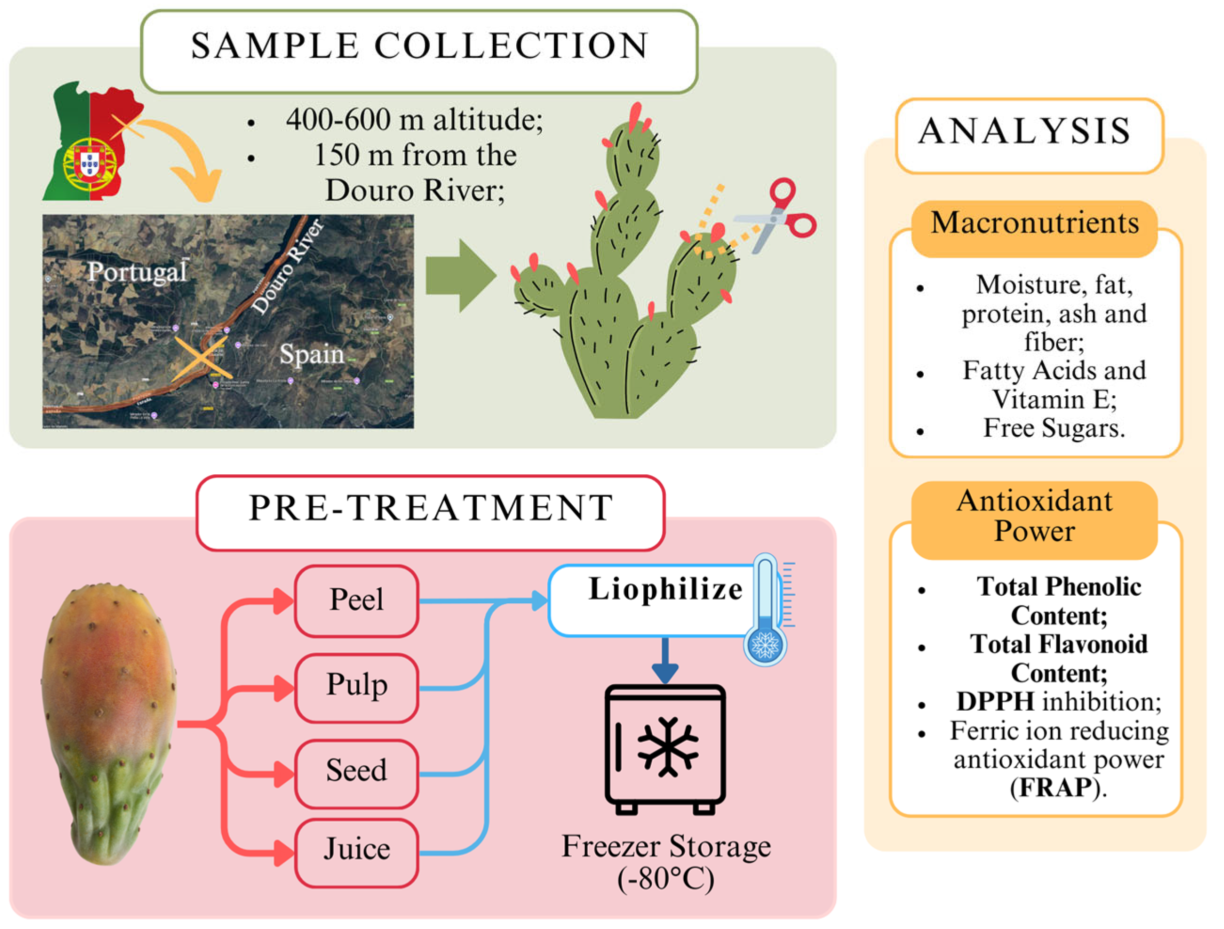 Plants 14 00409 g001