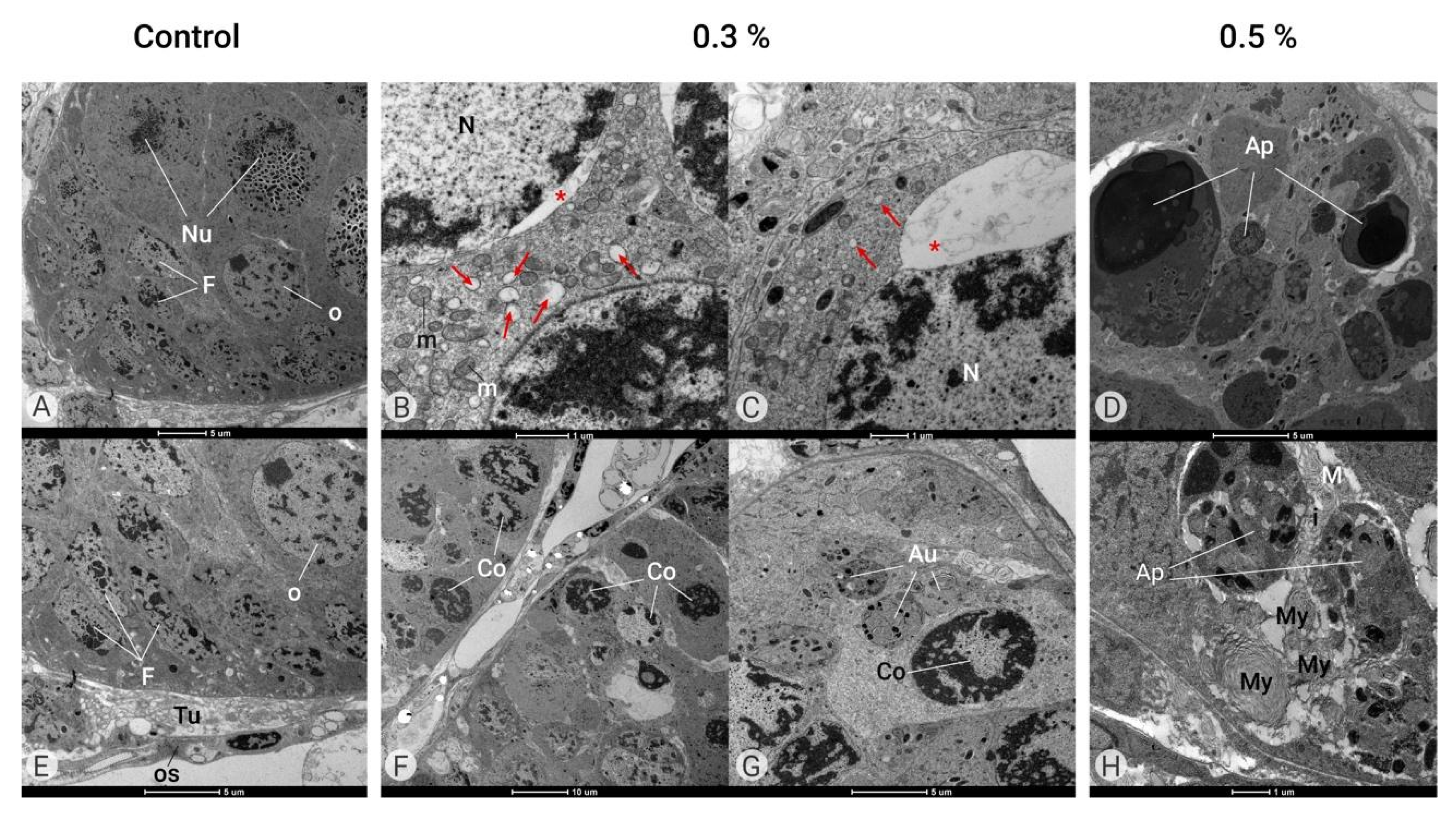 Plants 14 00416 g006