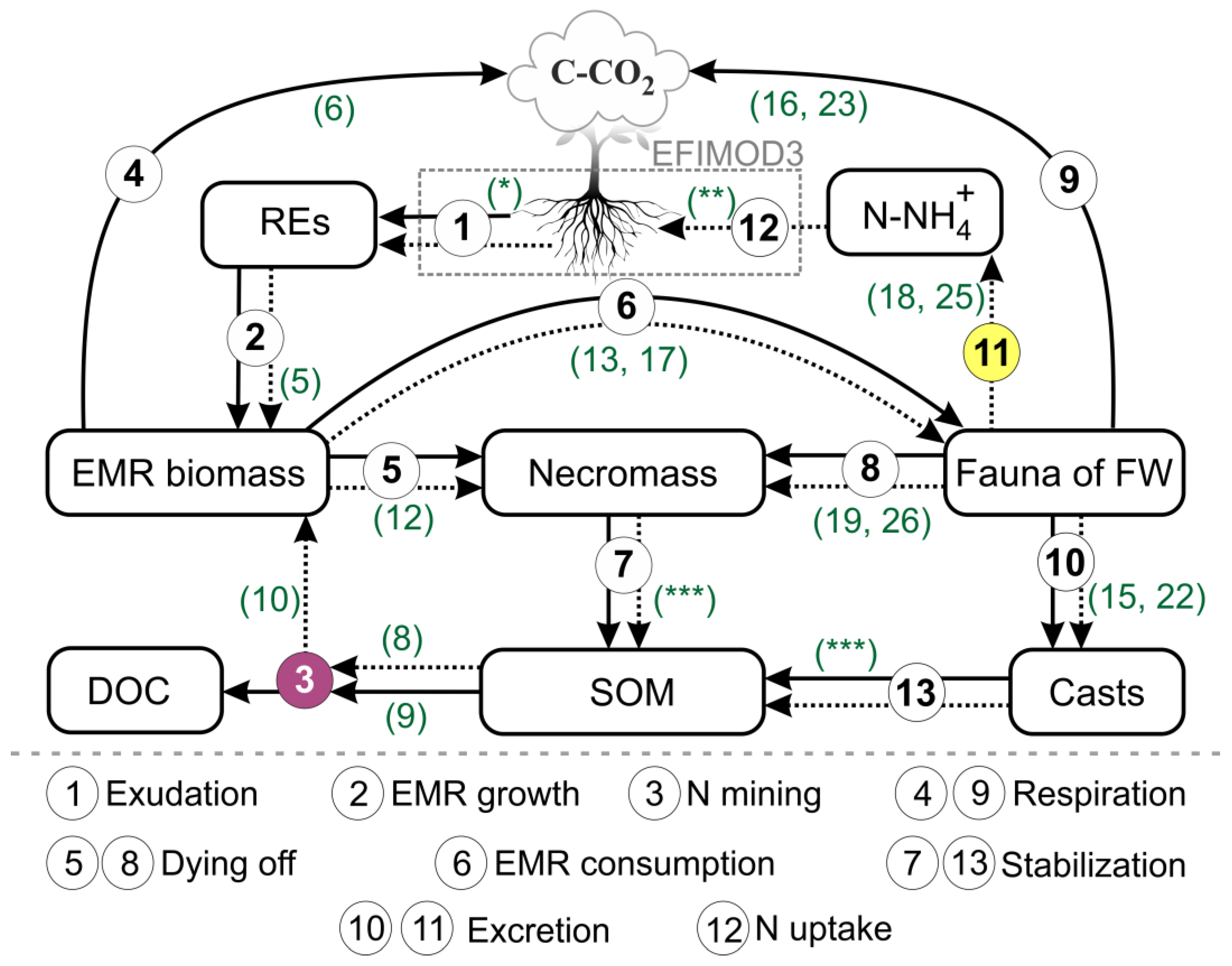 Plants 14 00417 g001
