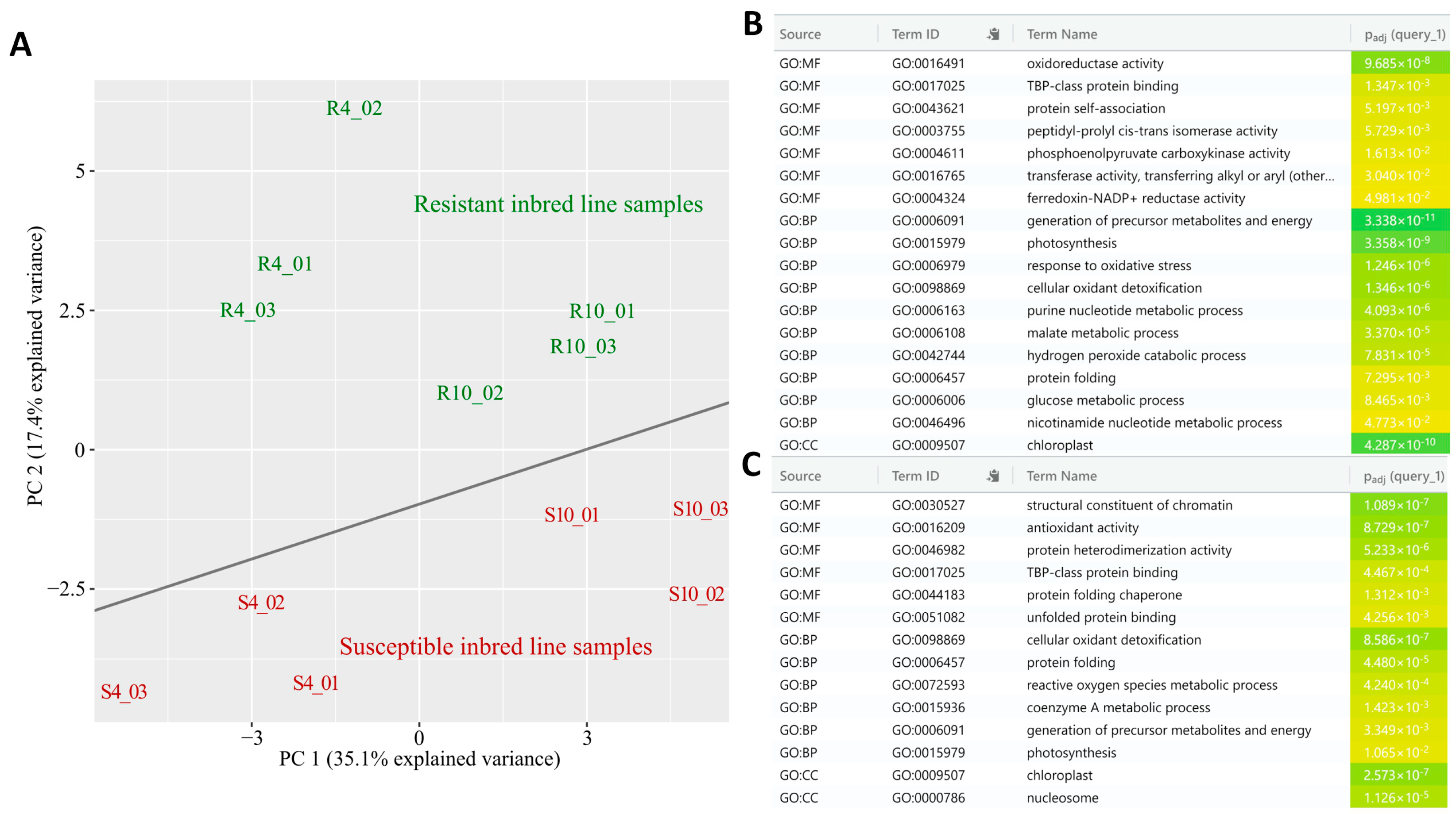 Plants 14 00426 g002