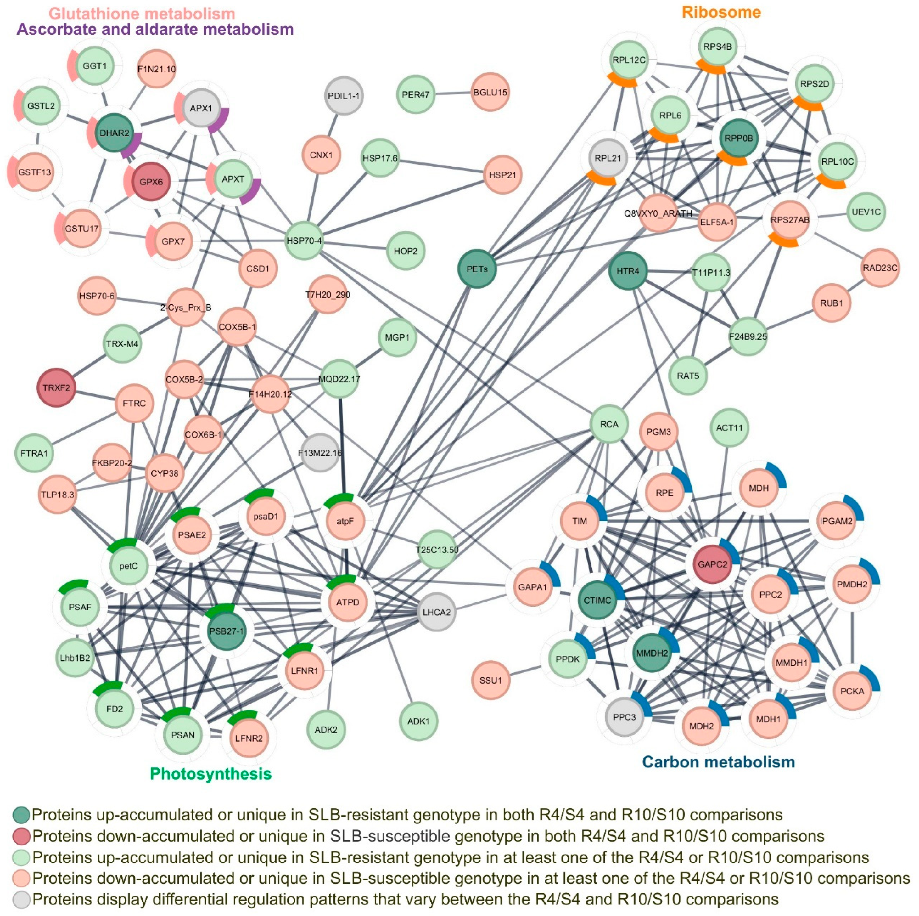 Plants 14 00426 g003