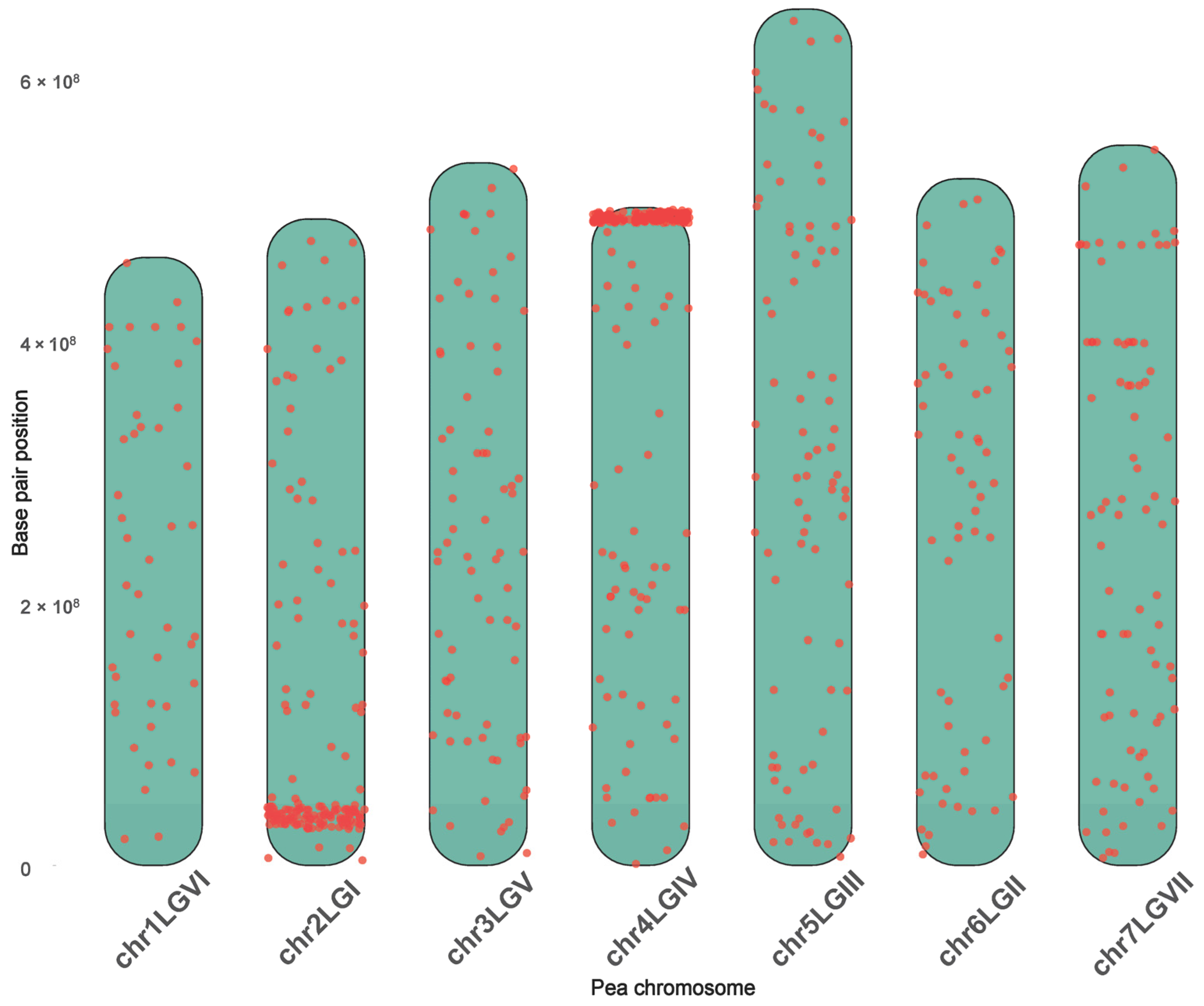 Plants 14 00427 g002