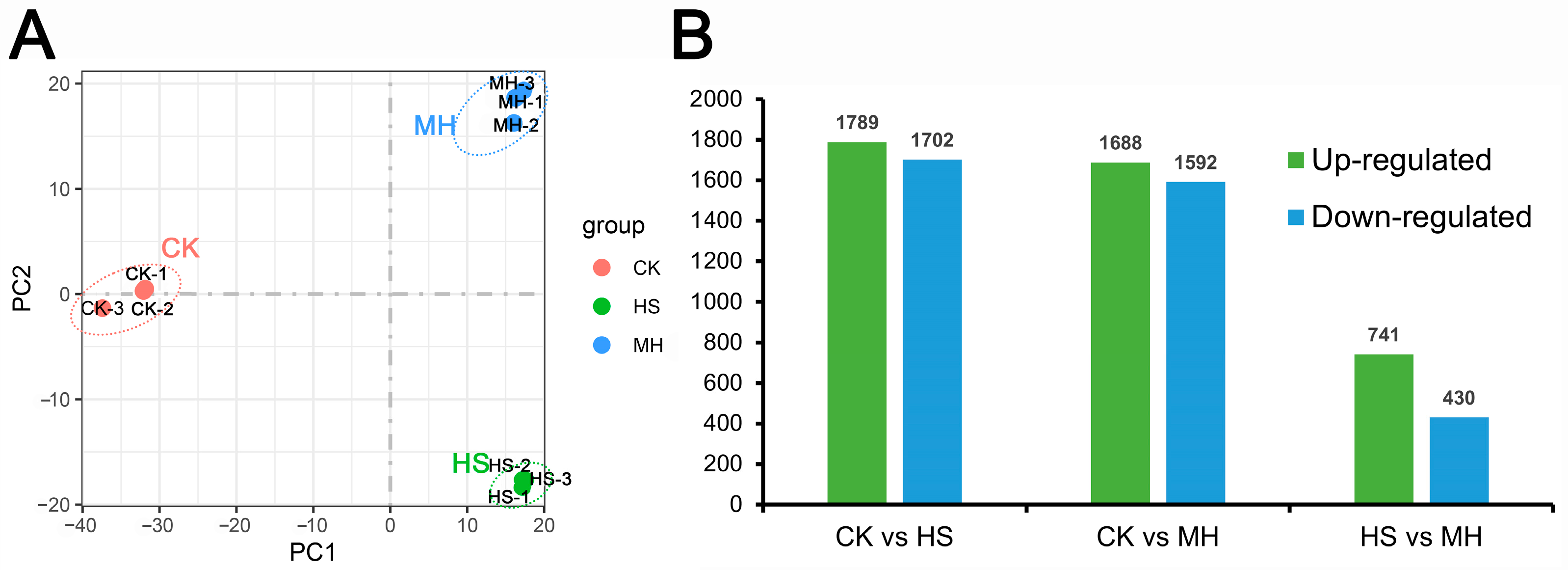 Plants 14 00430 g001