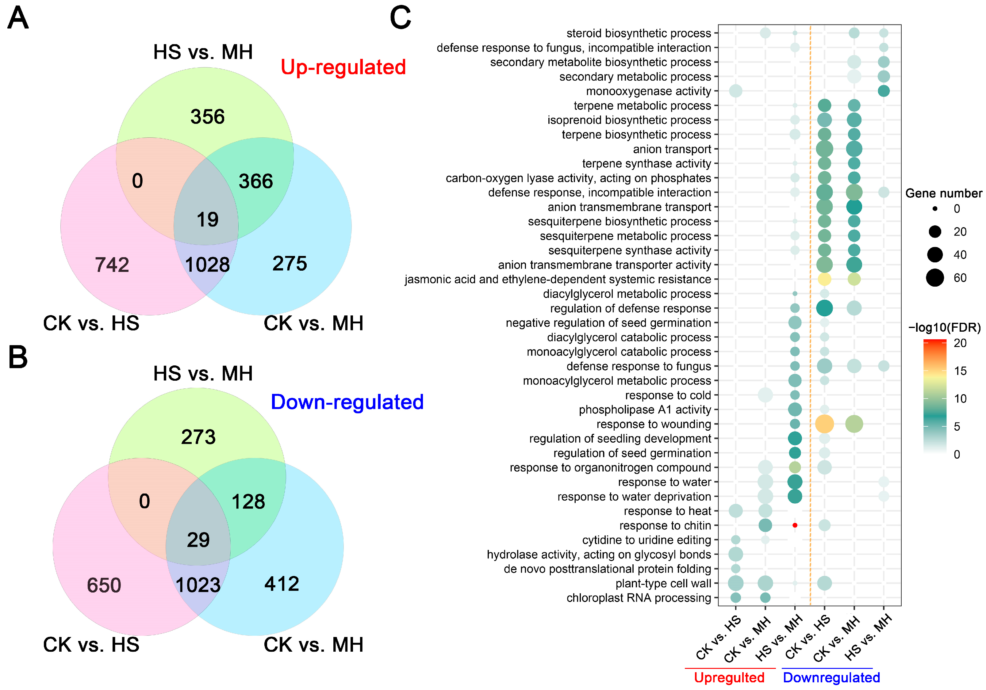 Plants 14 00430 g002