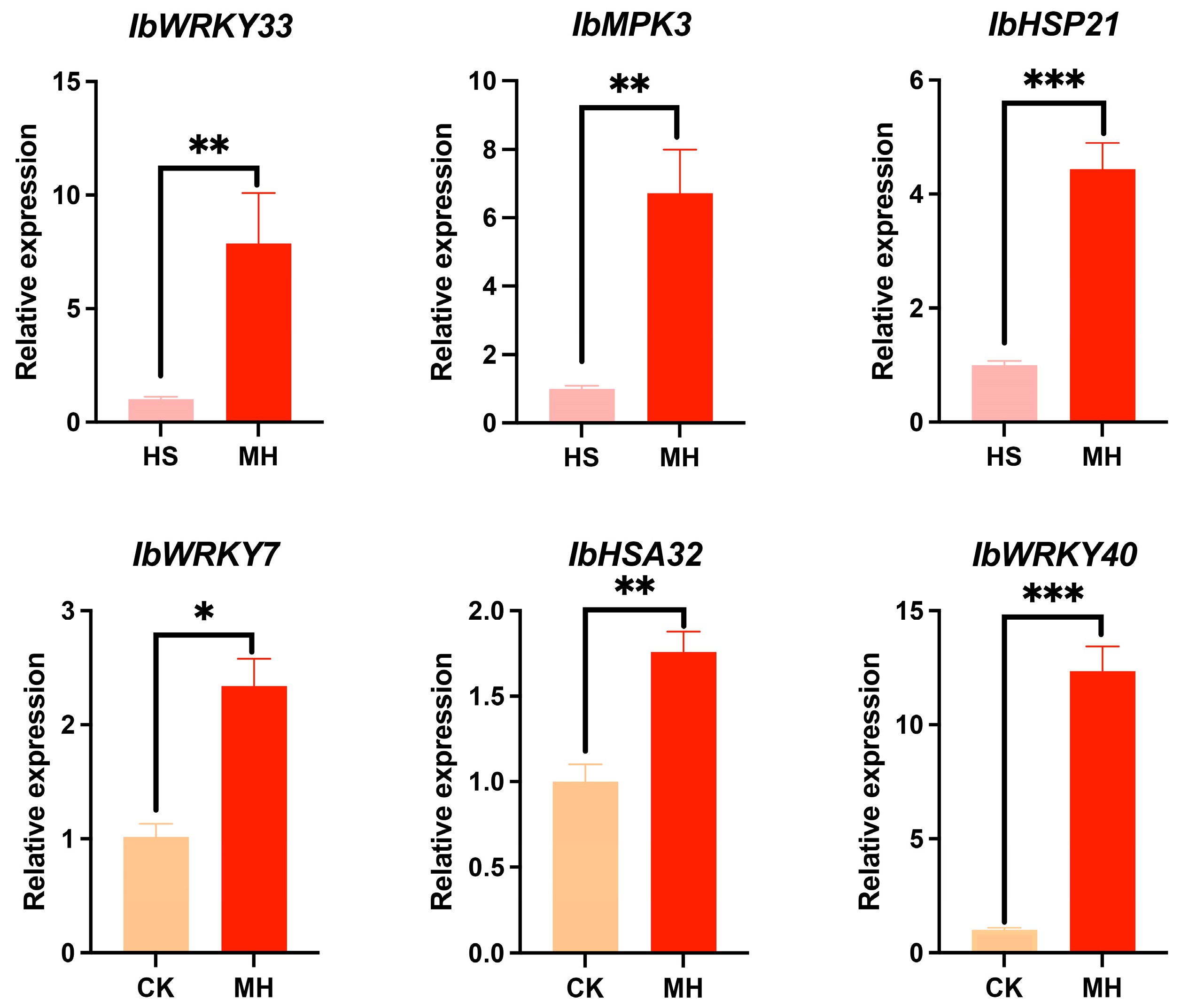 Plants 14 00430 g005