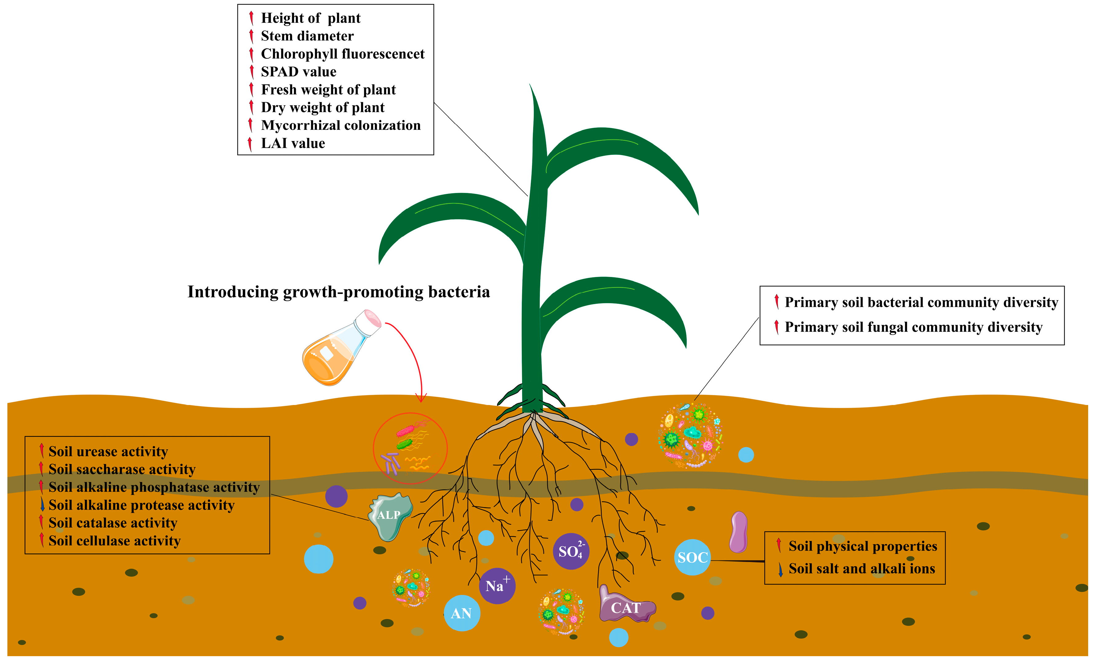 Plants 14 00436 g008
