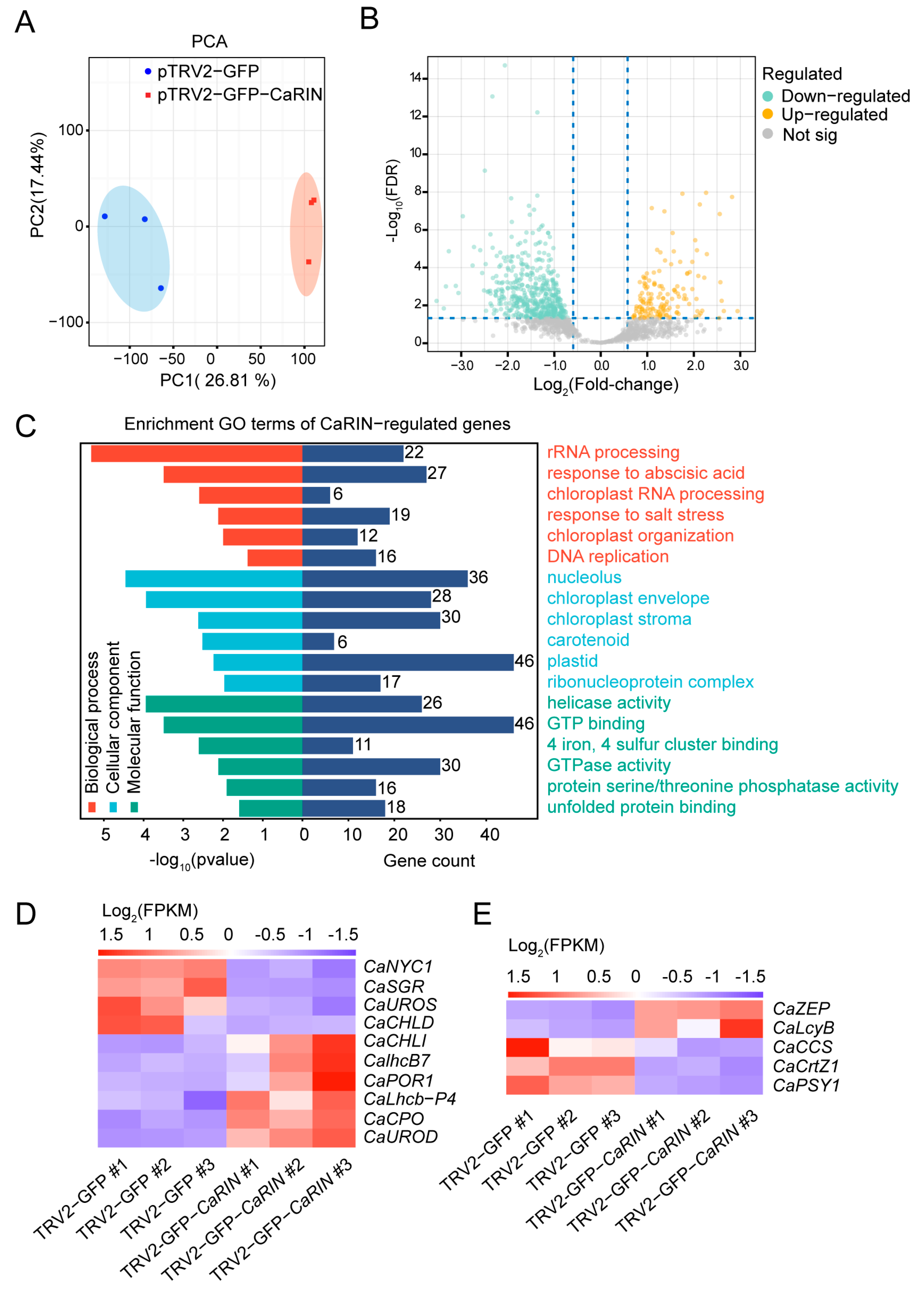 Plants 14 00445 g002
