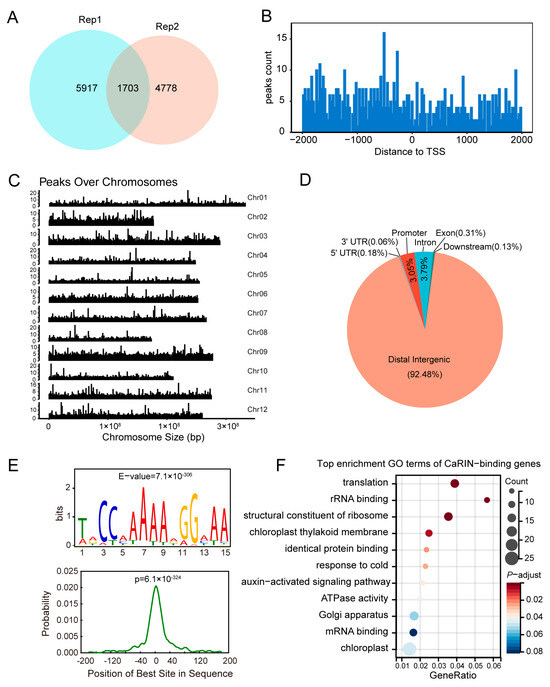 Plants 14 00445 g003