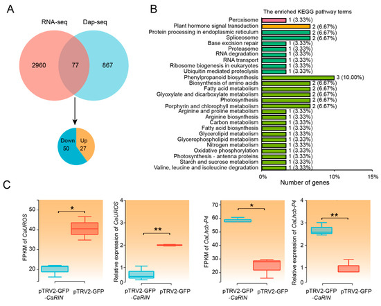 Plants 14 00445 g004