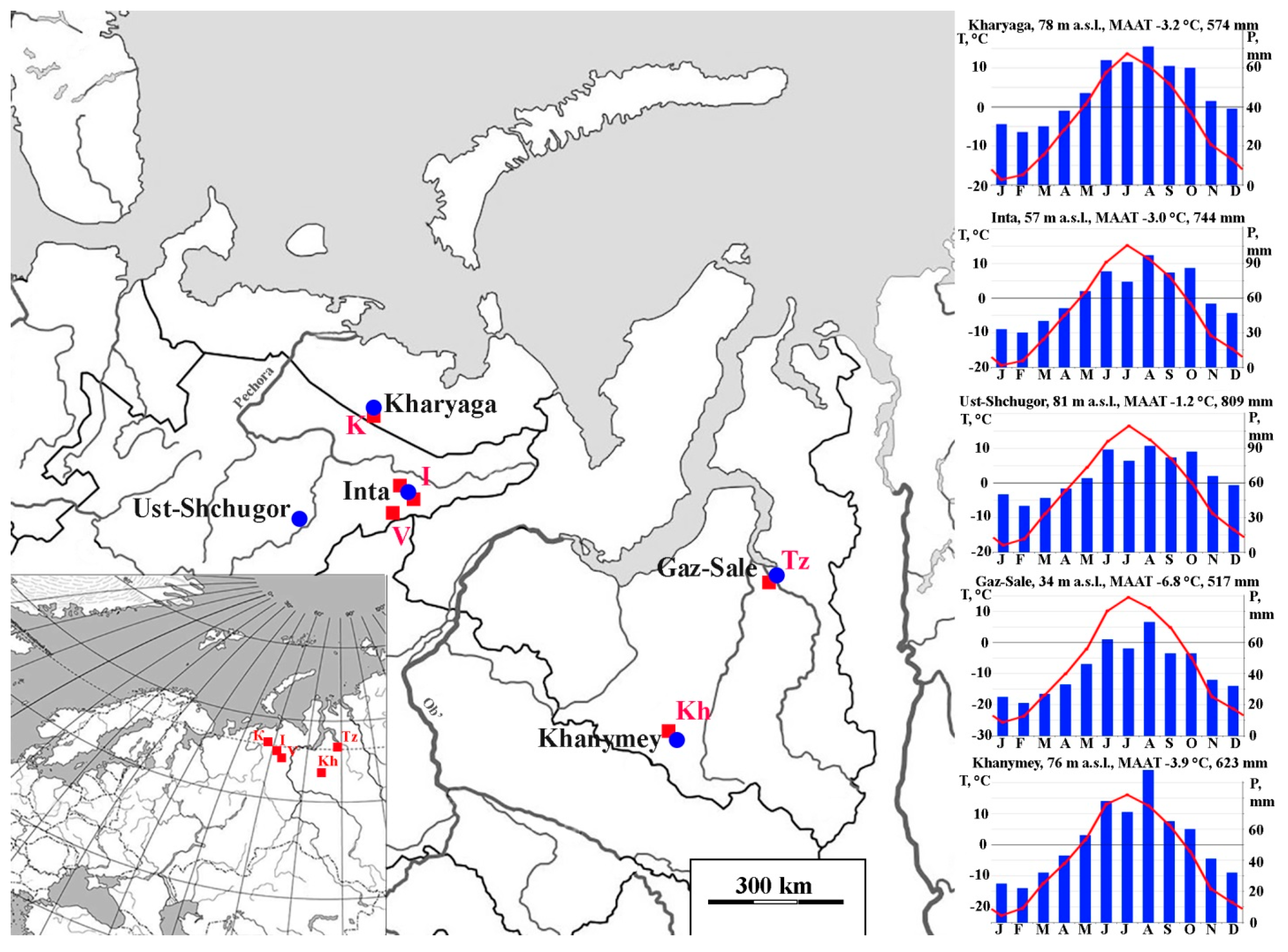 Plants 14 00449 g001