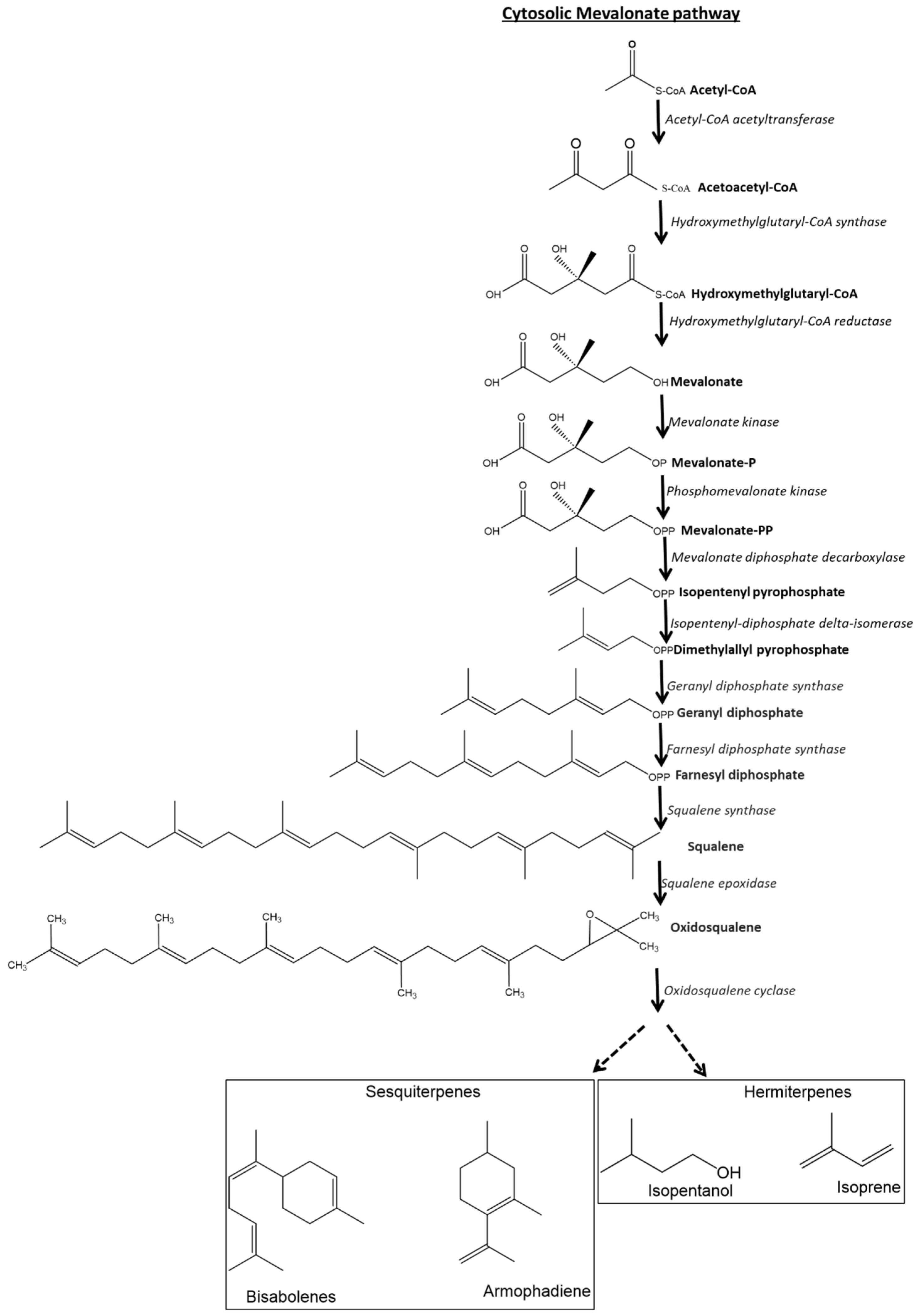 Plants 14 00469 g001