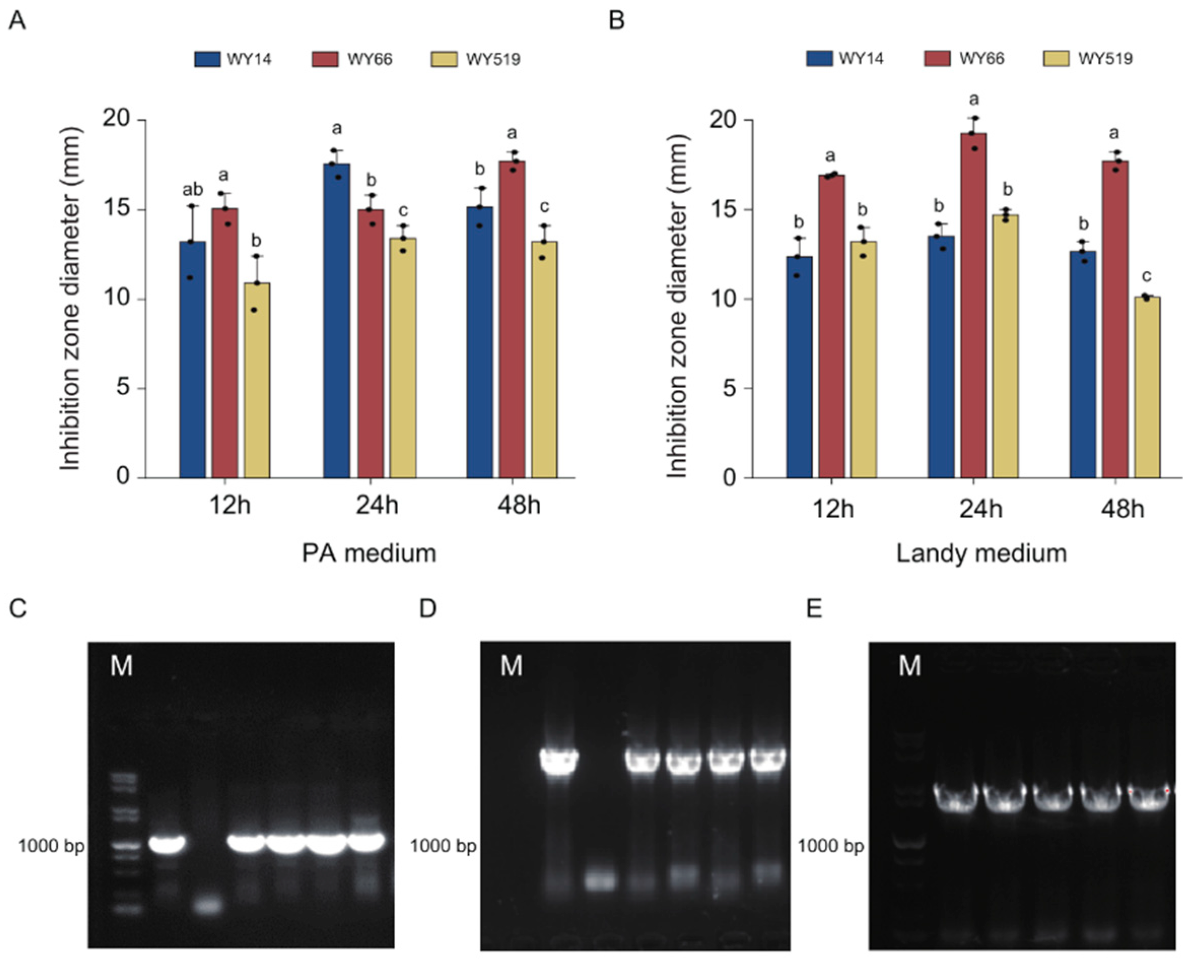 Plants 14 00475 g003