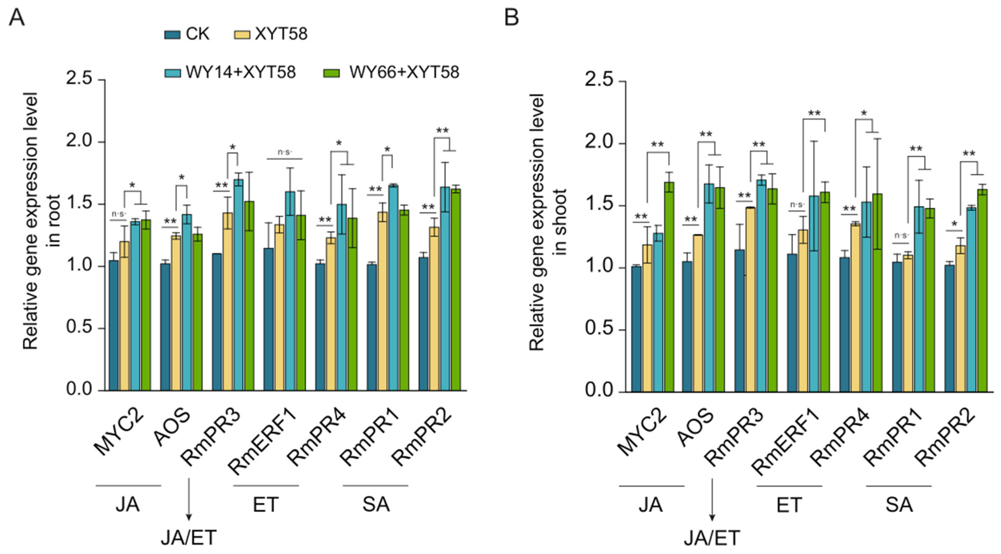Plants 14 00475 g004