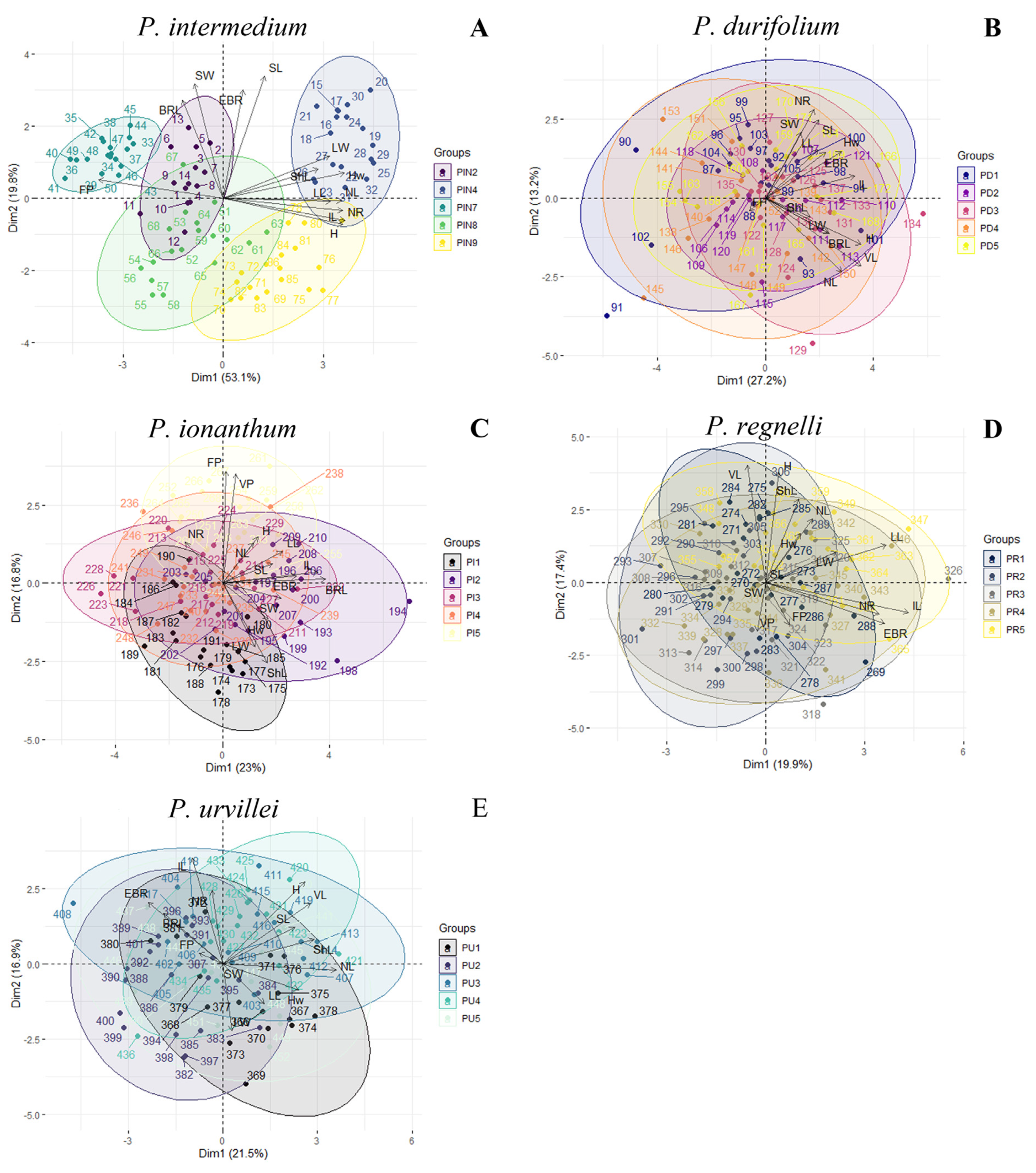 Plants 14 00476 g002