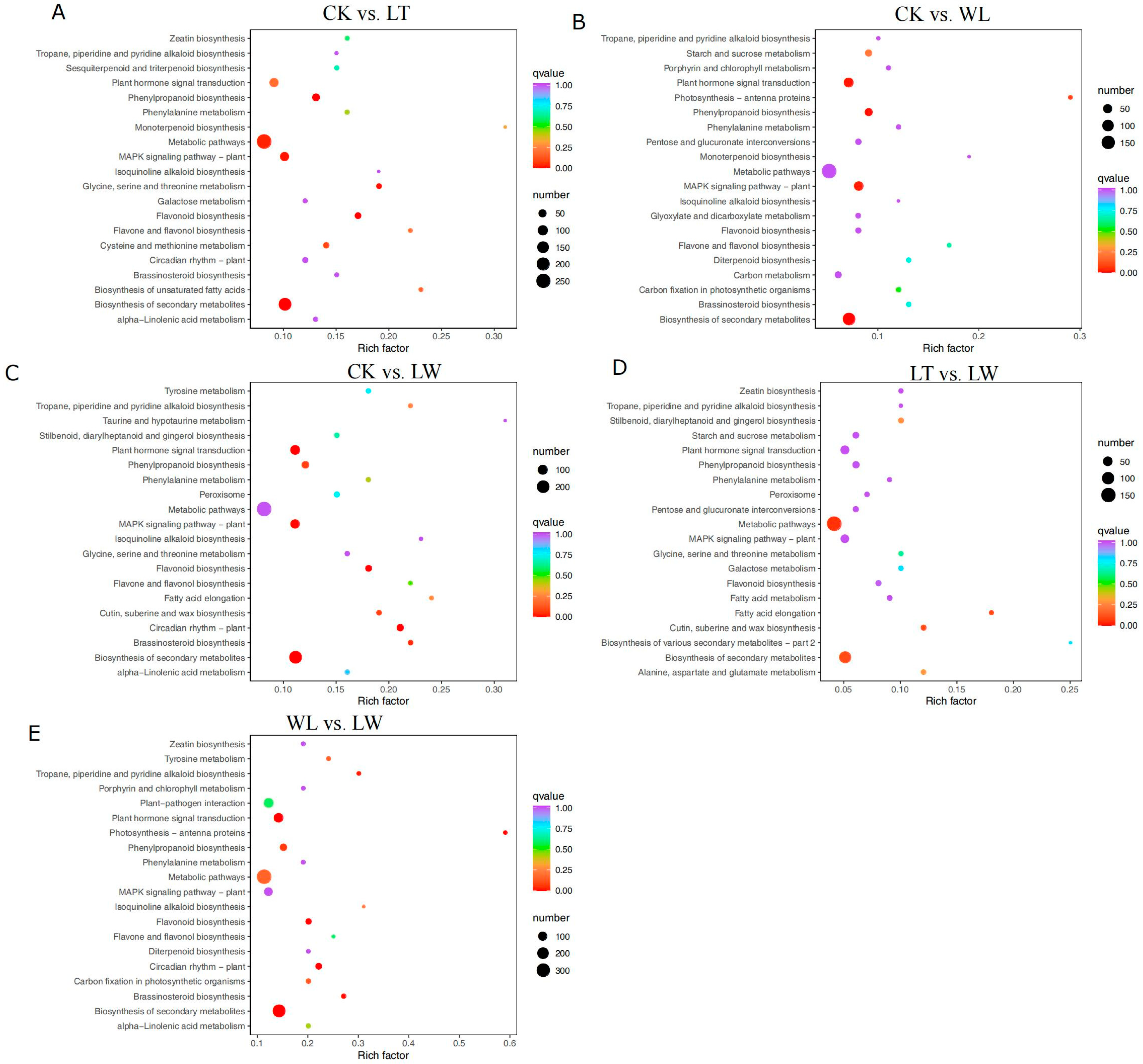Plants 14 00478 g005