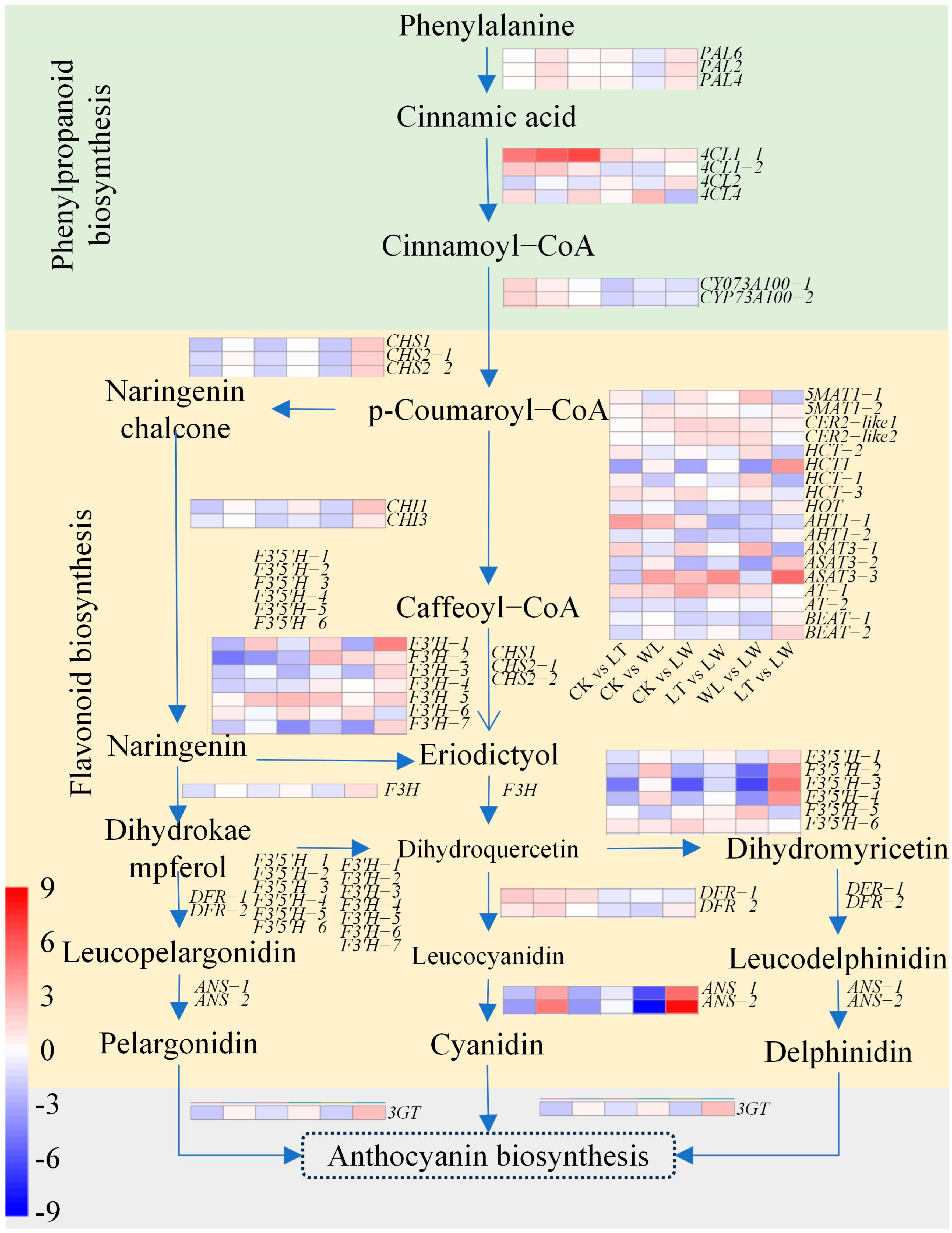 Plants 14 00478 g006
