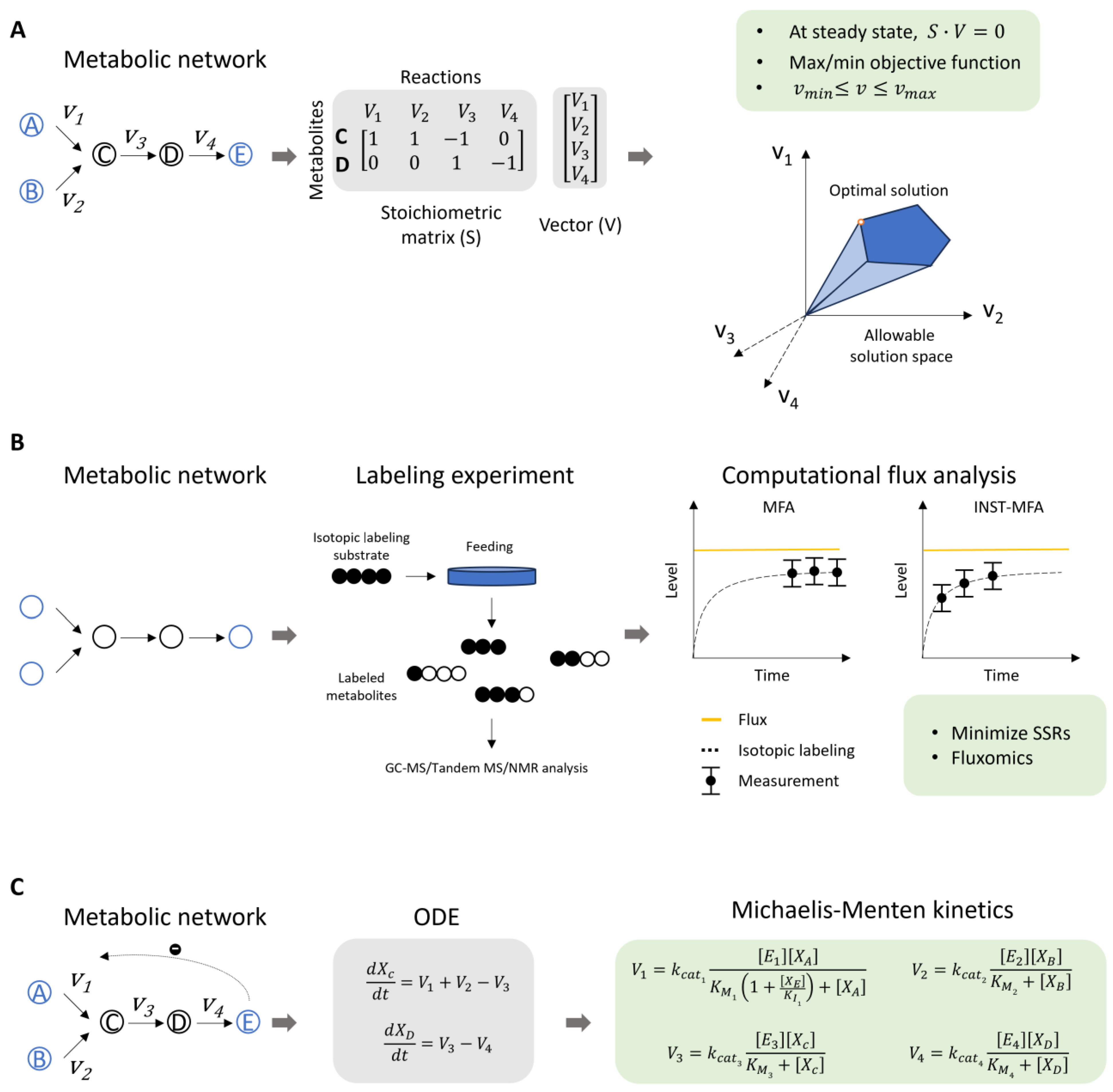 A Guide to Metabolic Network Modeling for Plant Biology | MDPI