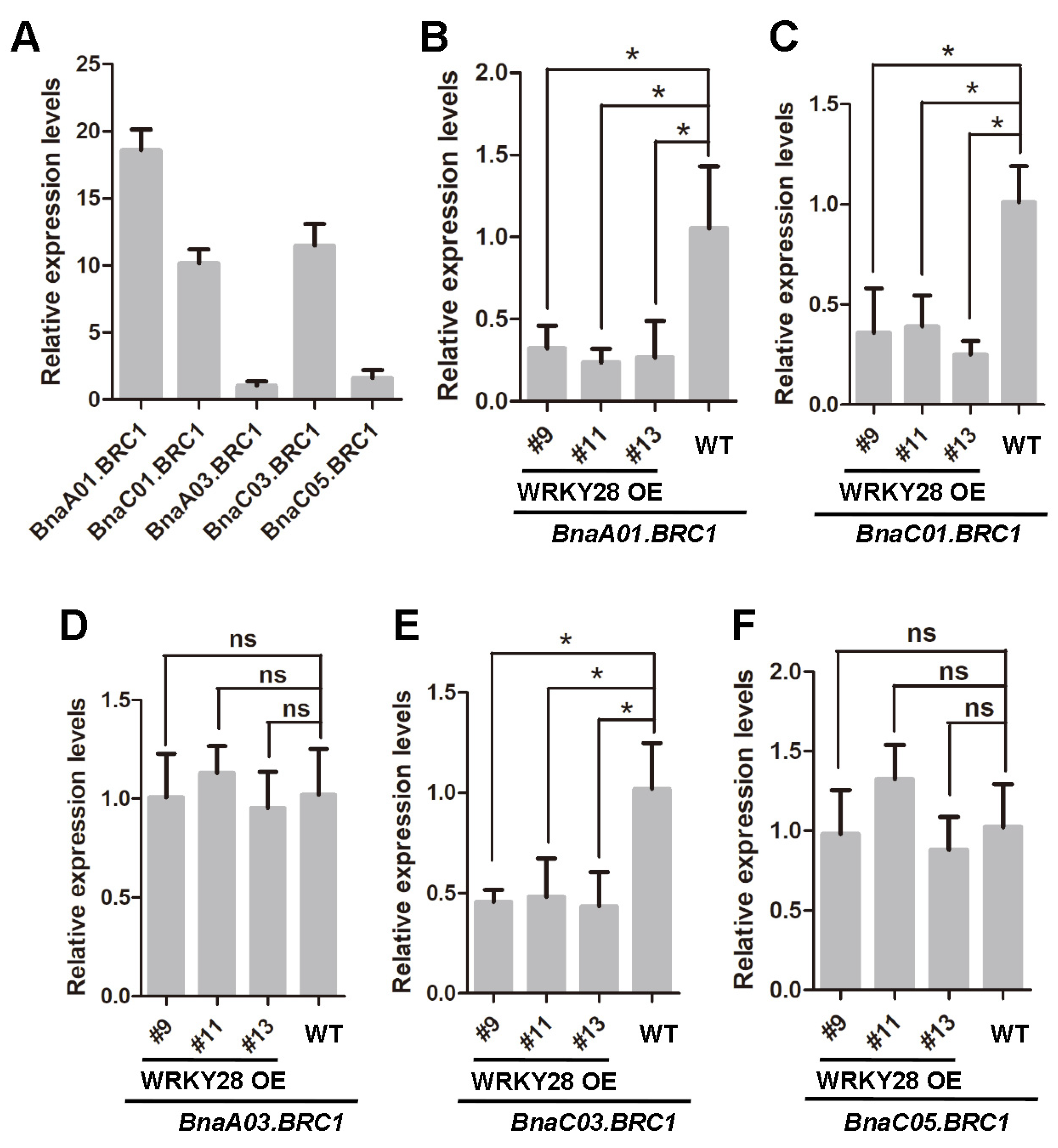 Plants 14 00486 g002