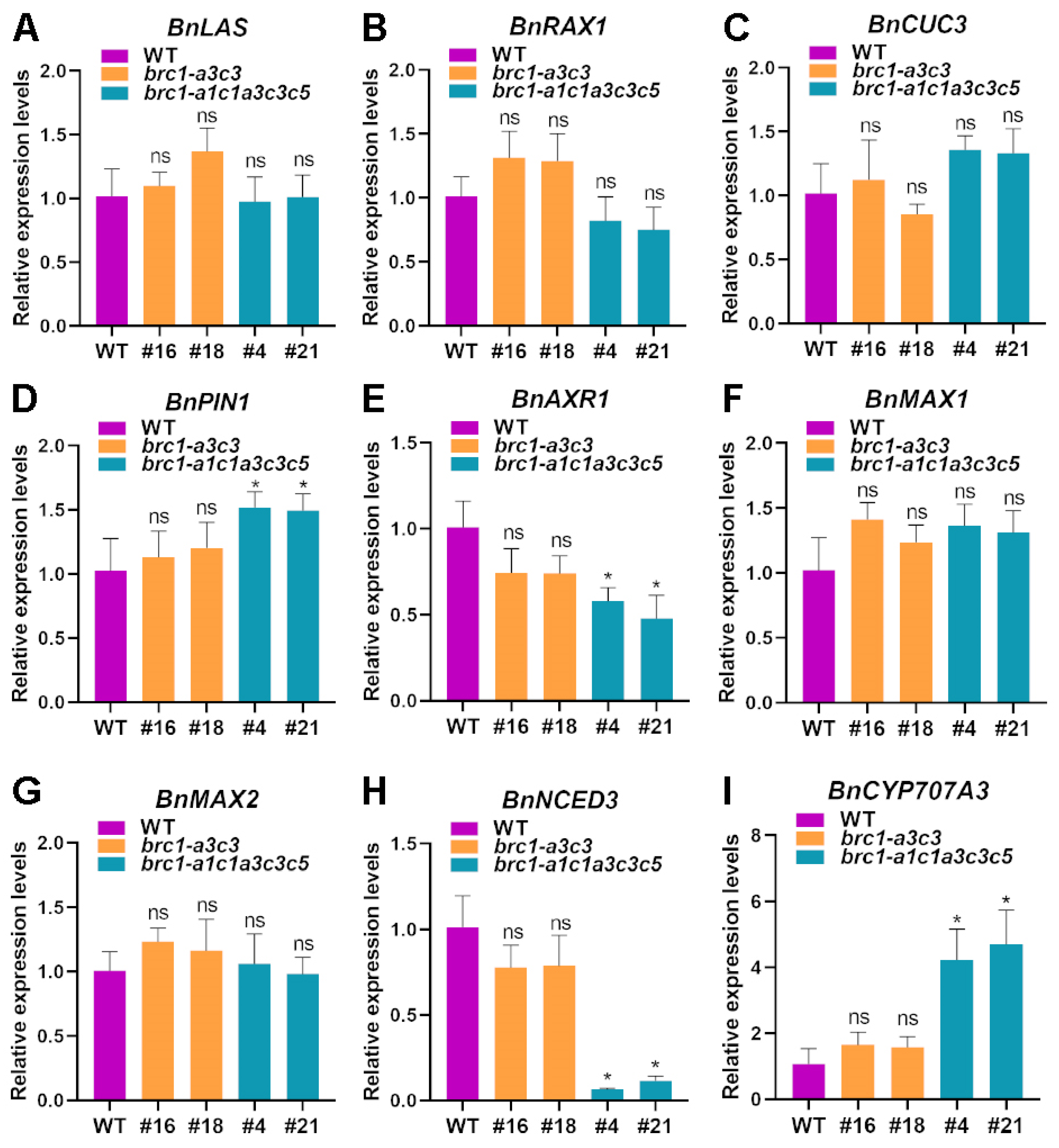 Plants 14 00486 g006