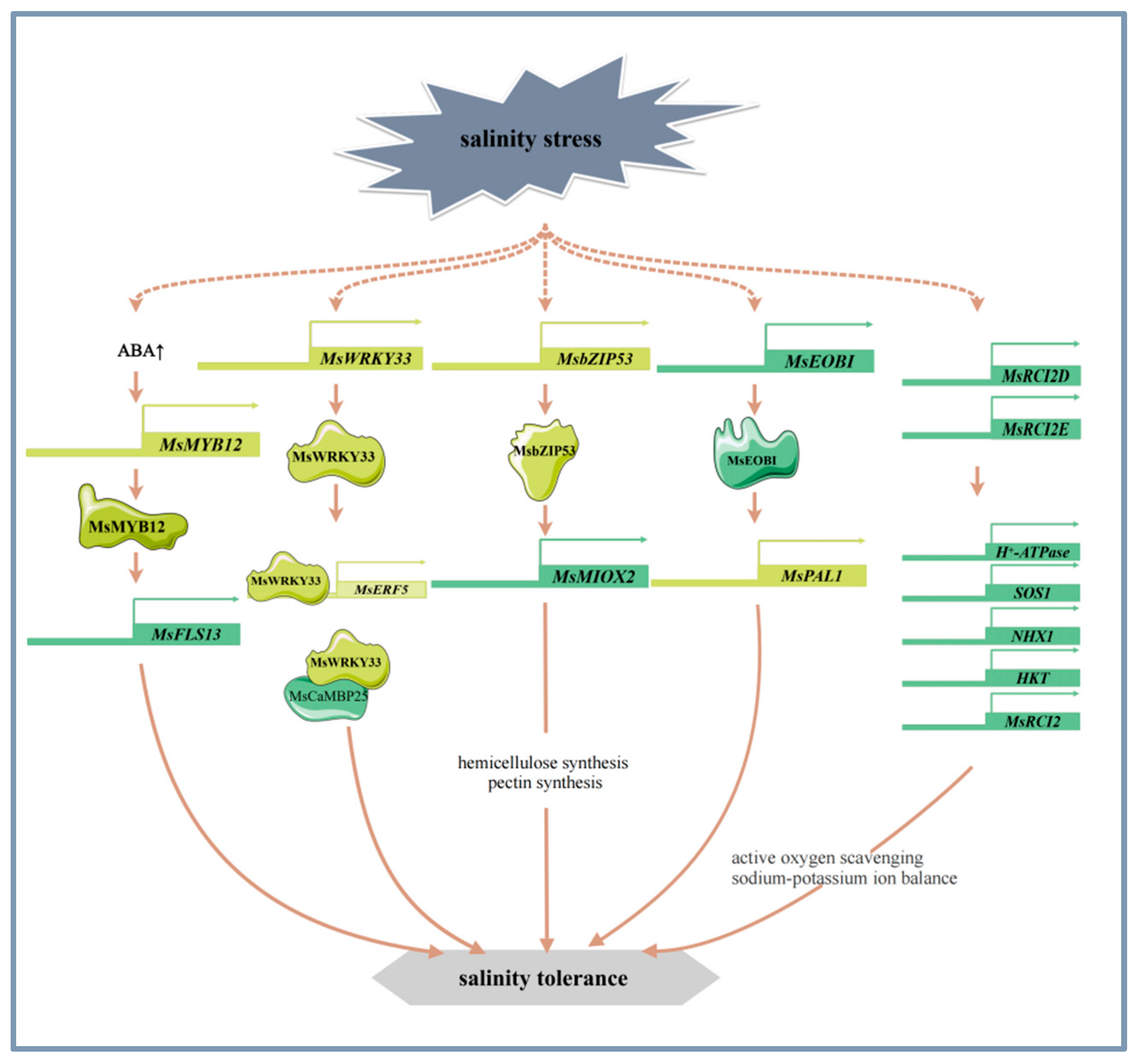 Plants 14 00487 g002