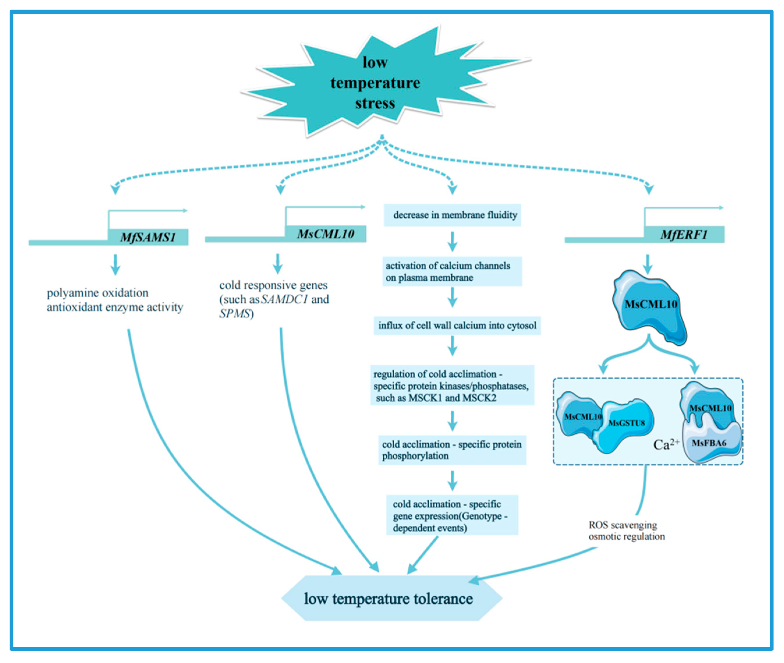Plants 14 00487 g003