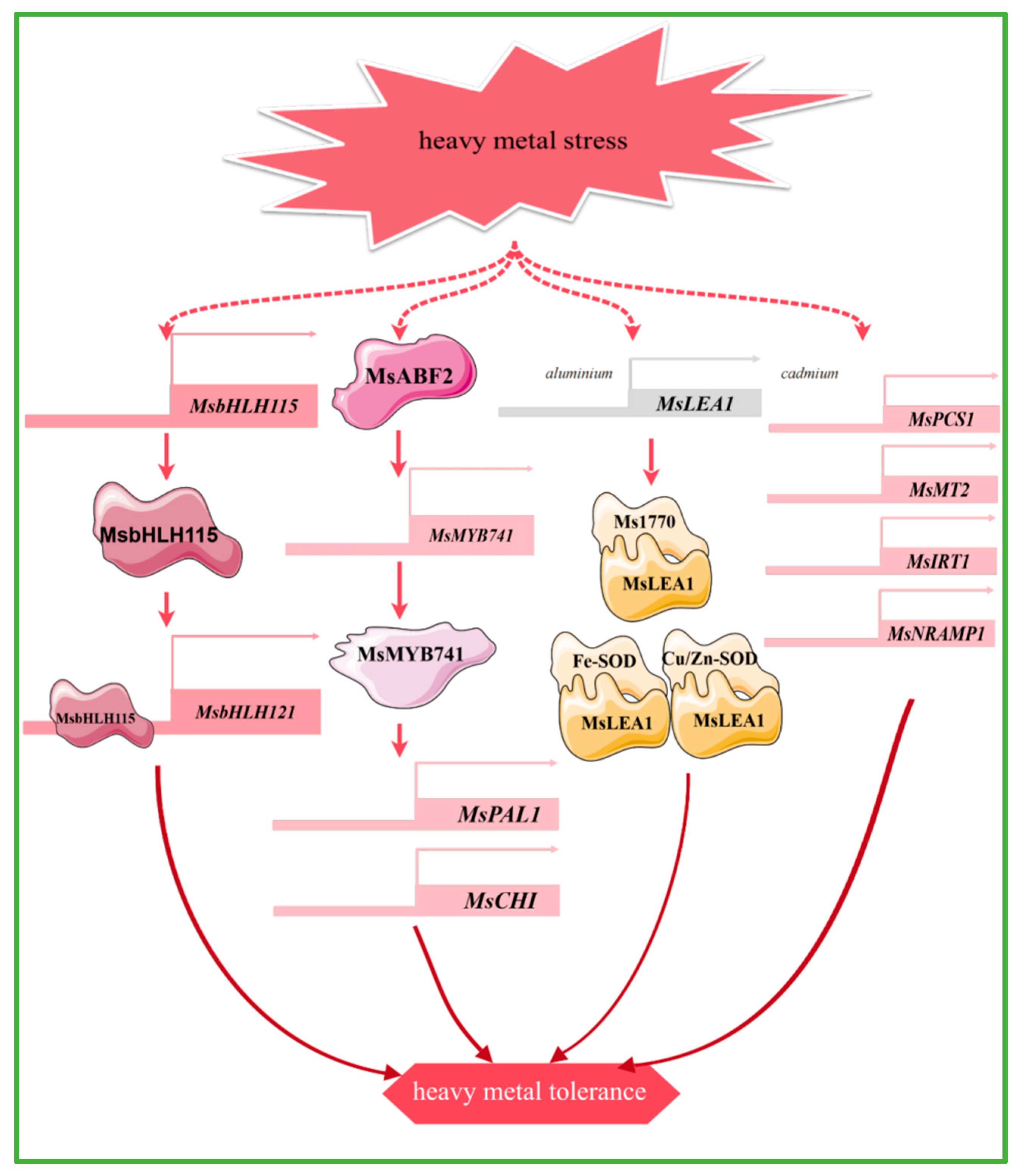 Plants 14 00487 g004