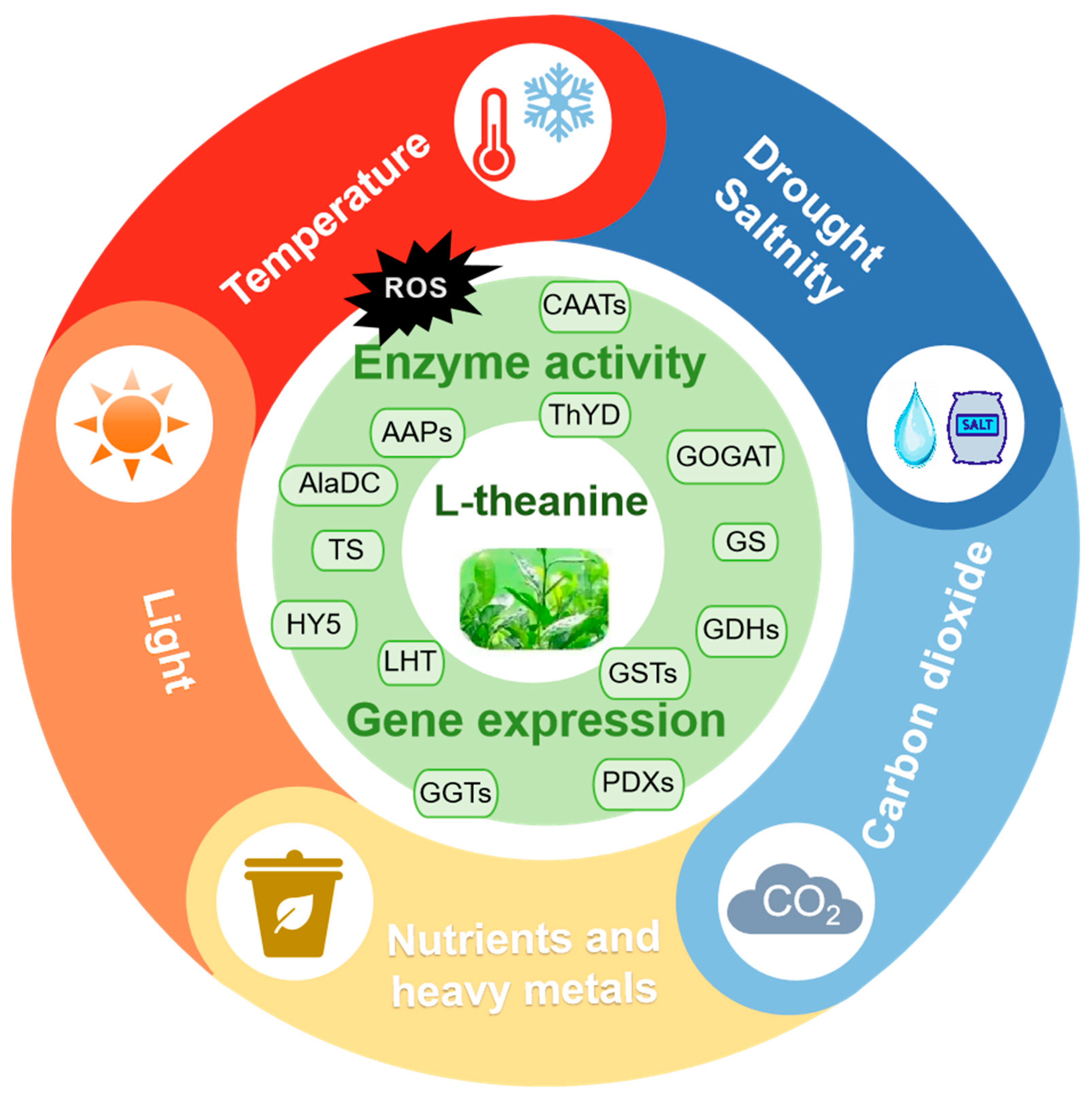 Plants 14 00492 g002