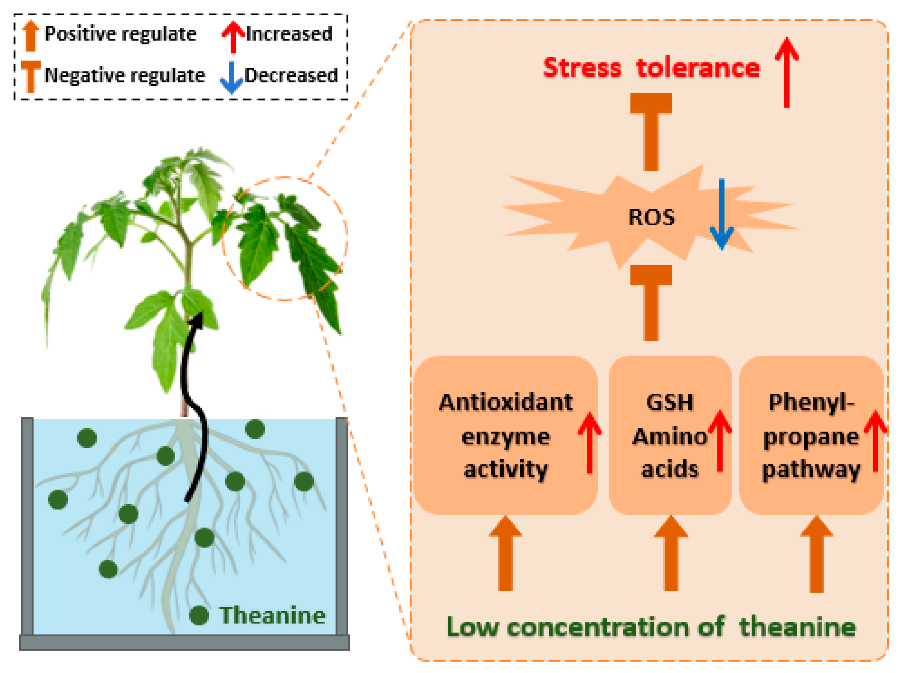 Plants 14 00492 g003