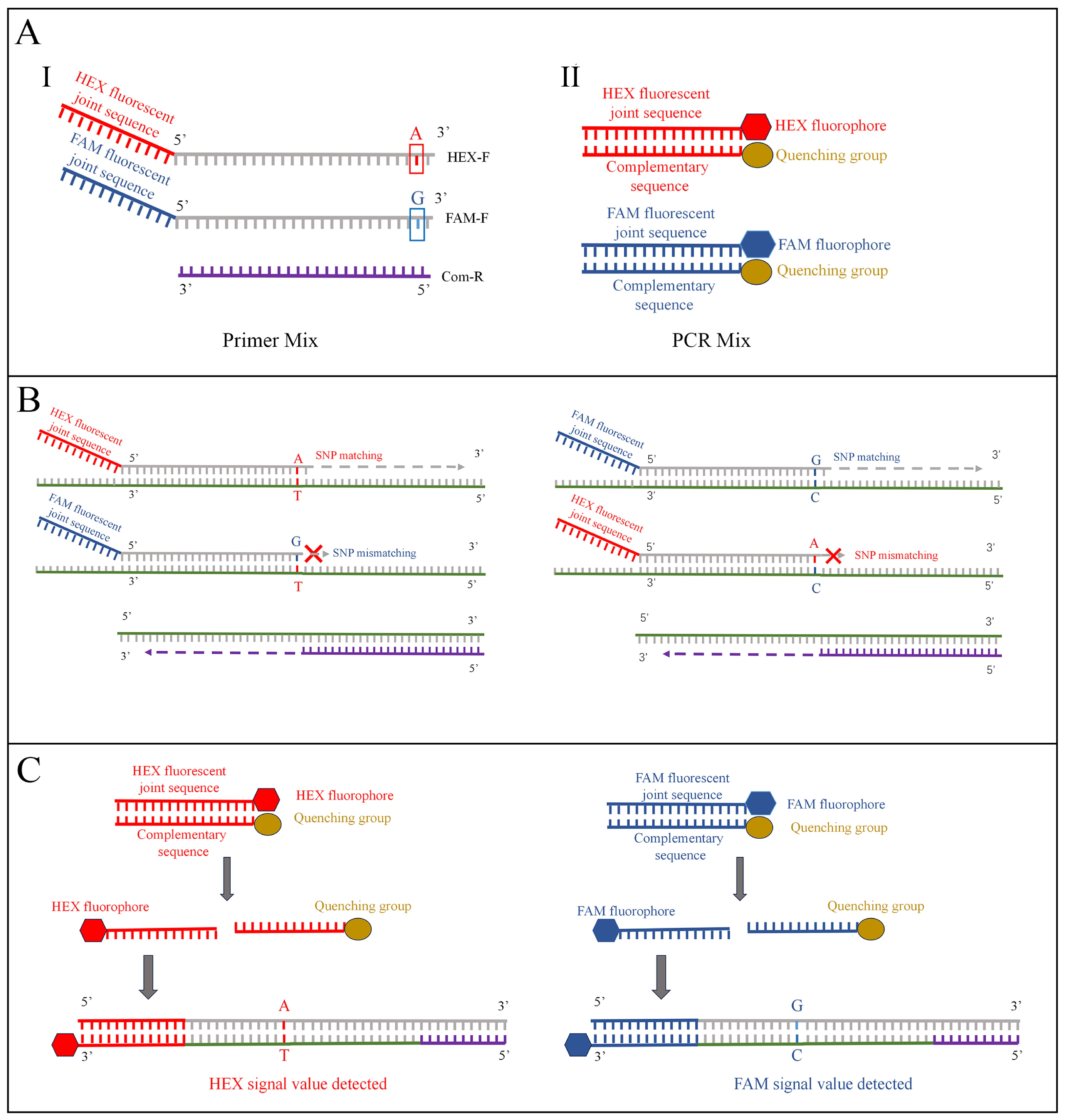 Plants 14 00515 g001