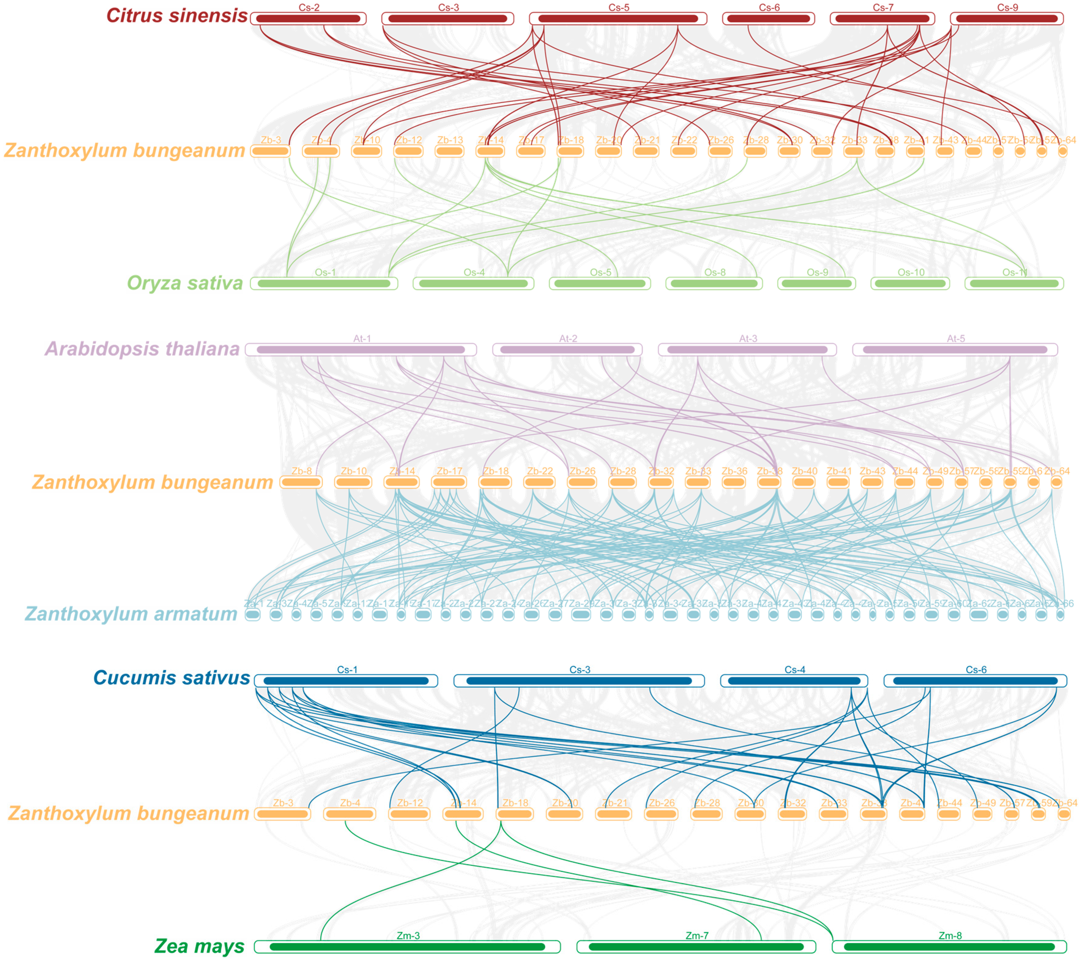 Plants 14 00520 g003