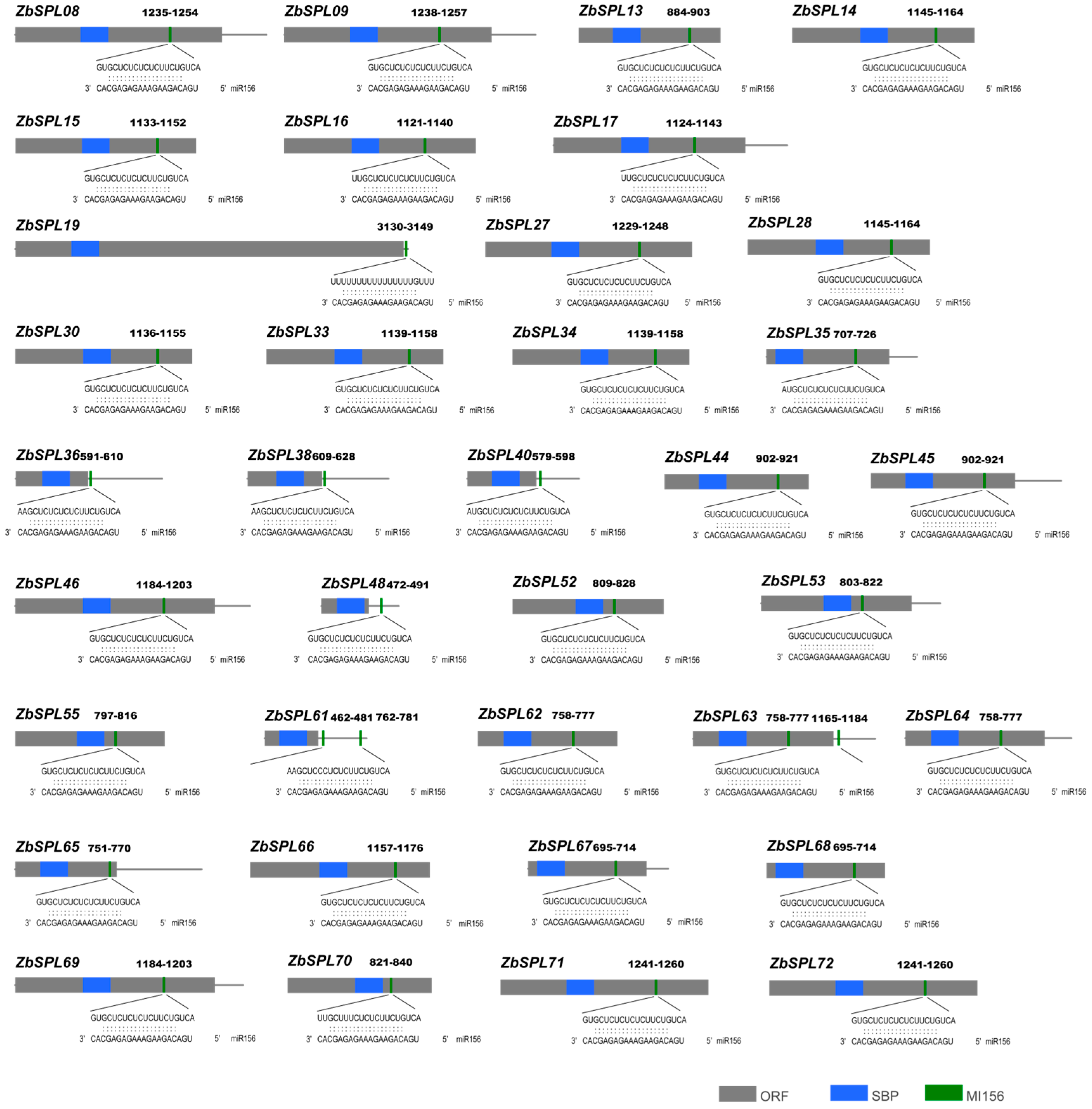 Plants 14 00520 g008