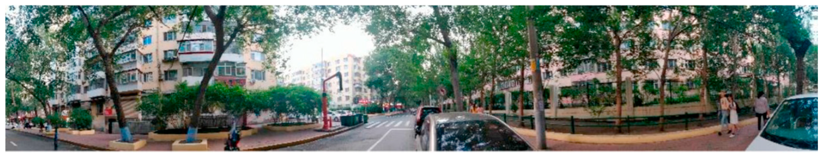 Plants 14 00521 g006