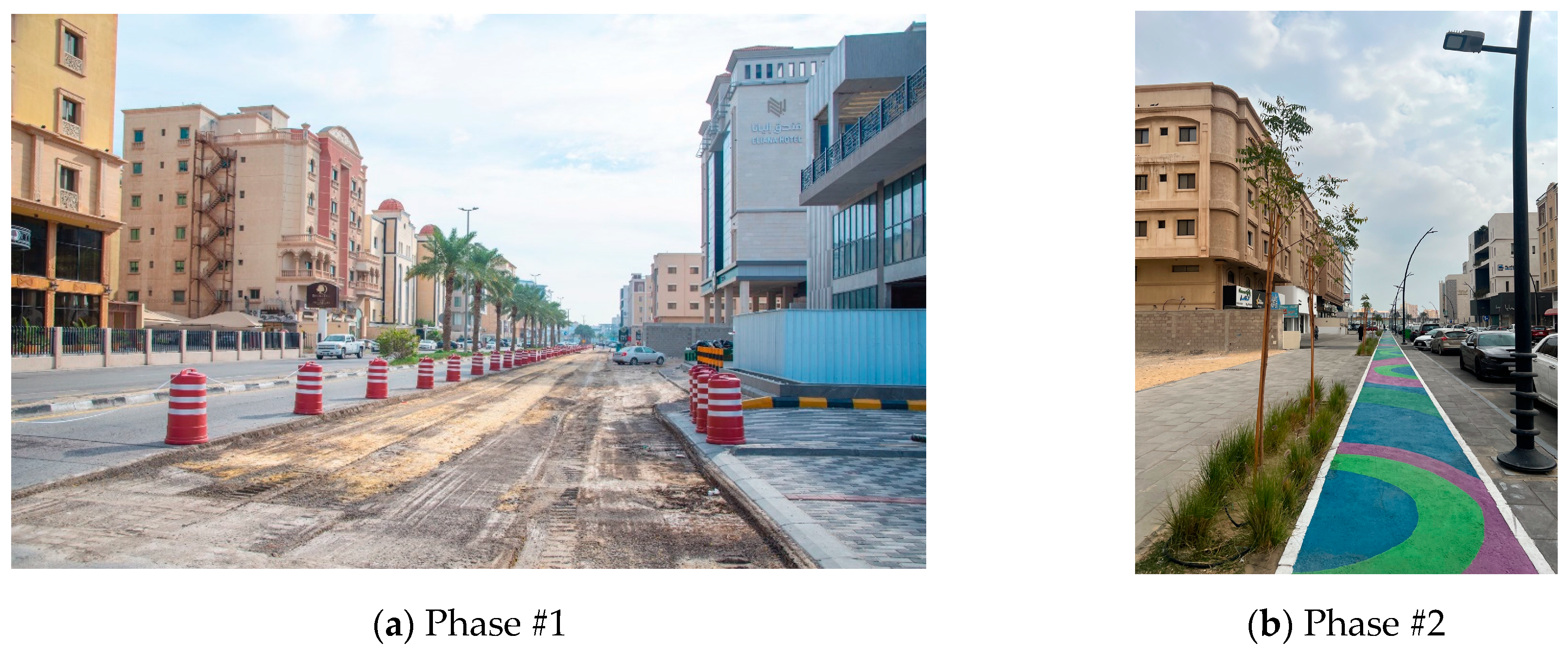 Plants 14 00521 g007