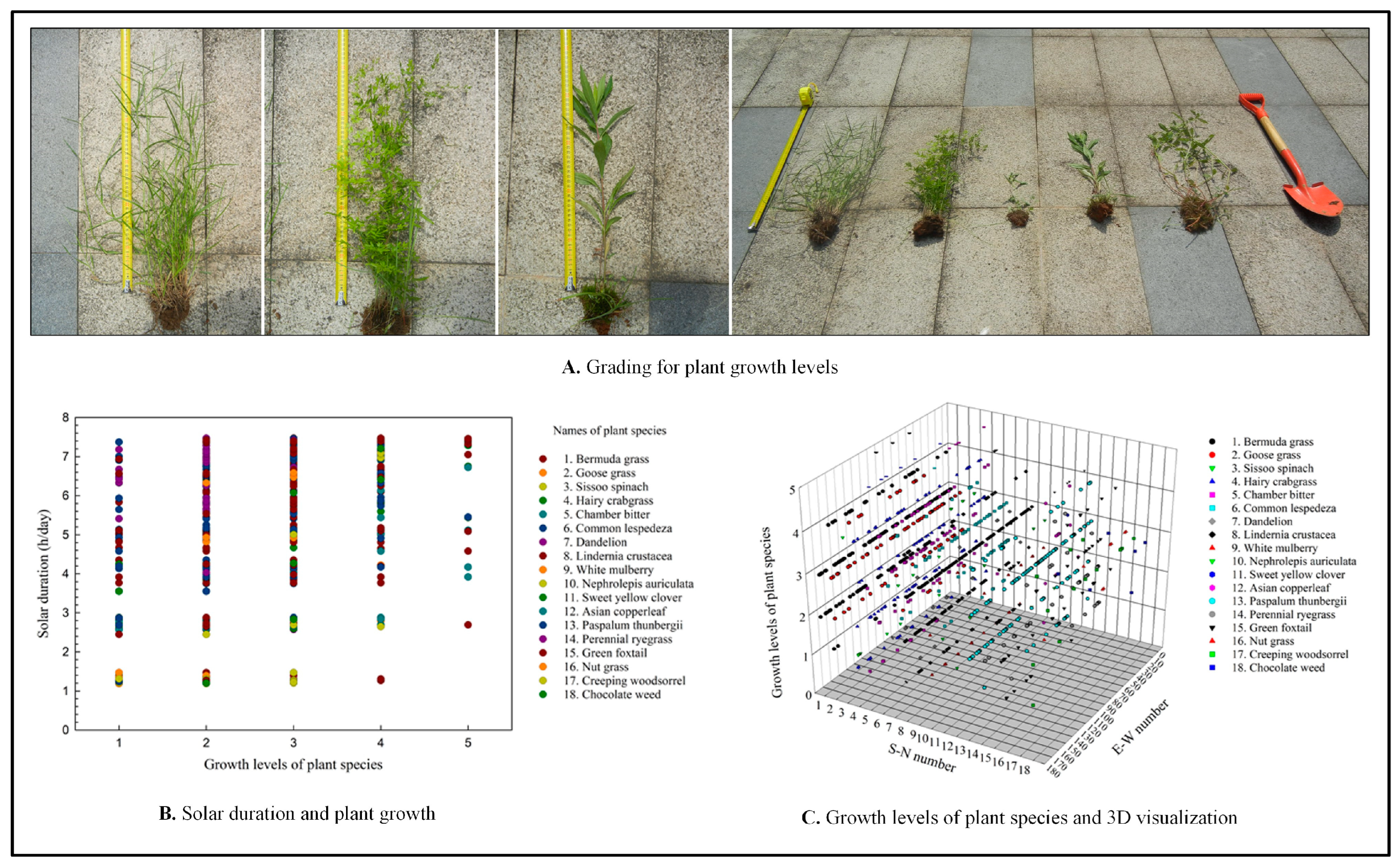 Plants 14 00539 g003