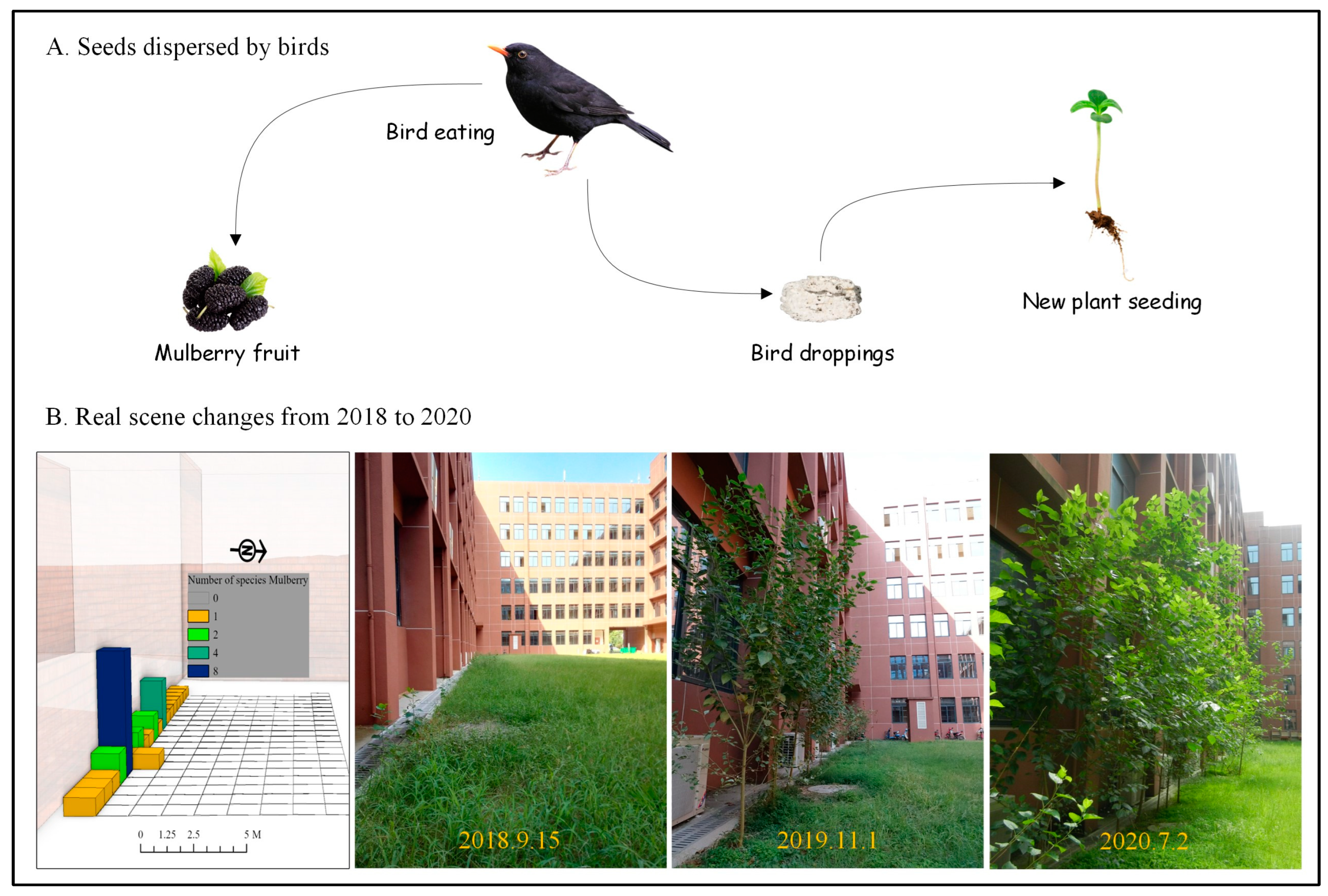 Plants 14 00539 g004