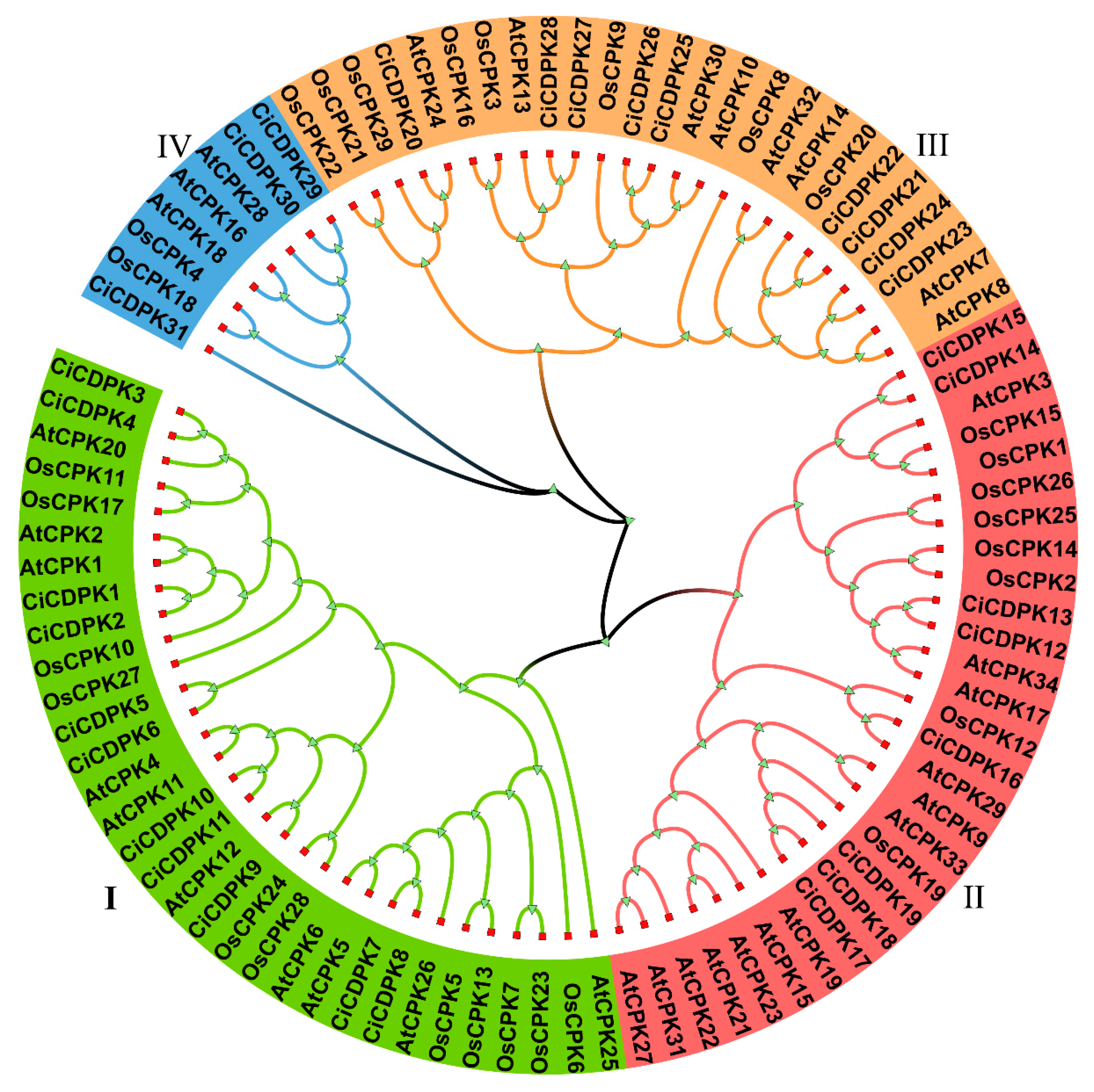 Plants 14 00540 g001