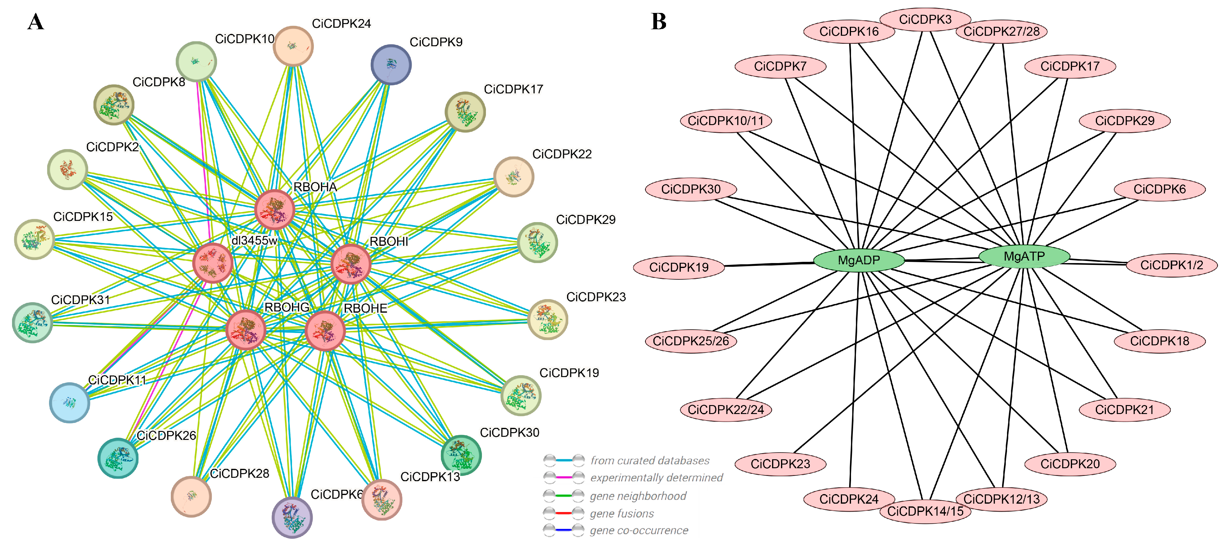 Plants 14 00540 g006