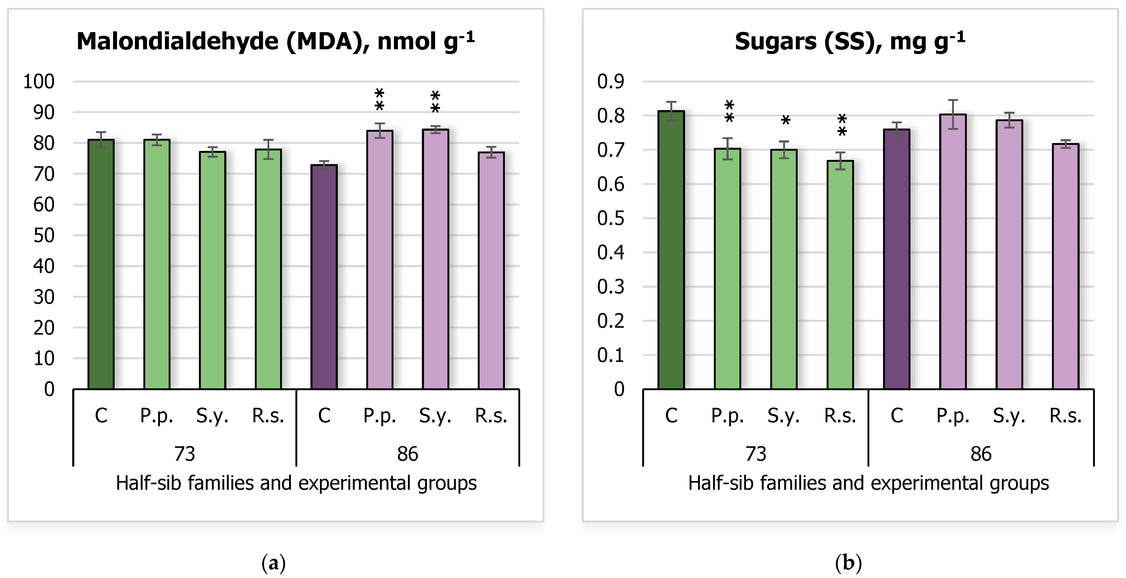 Plants 14 00545 g004