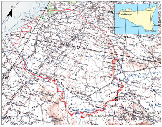 Plants 14 00548 g001