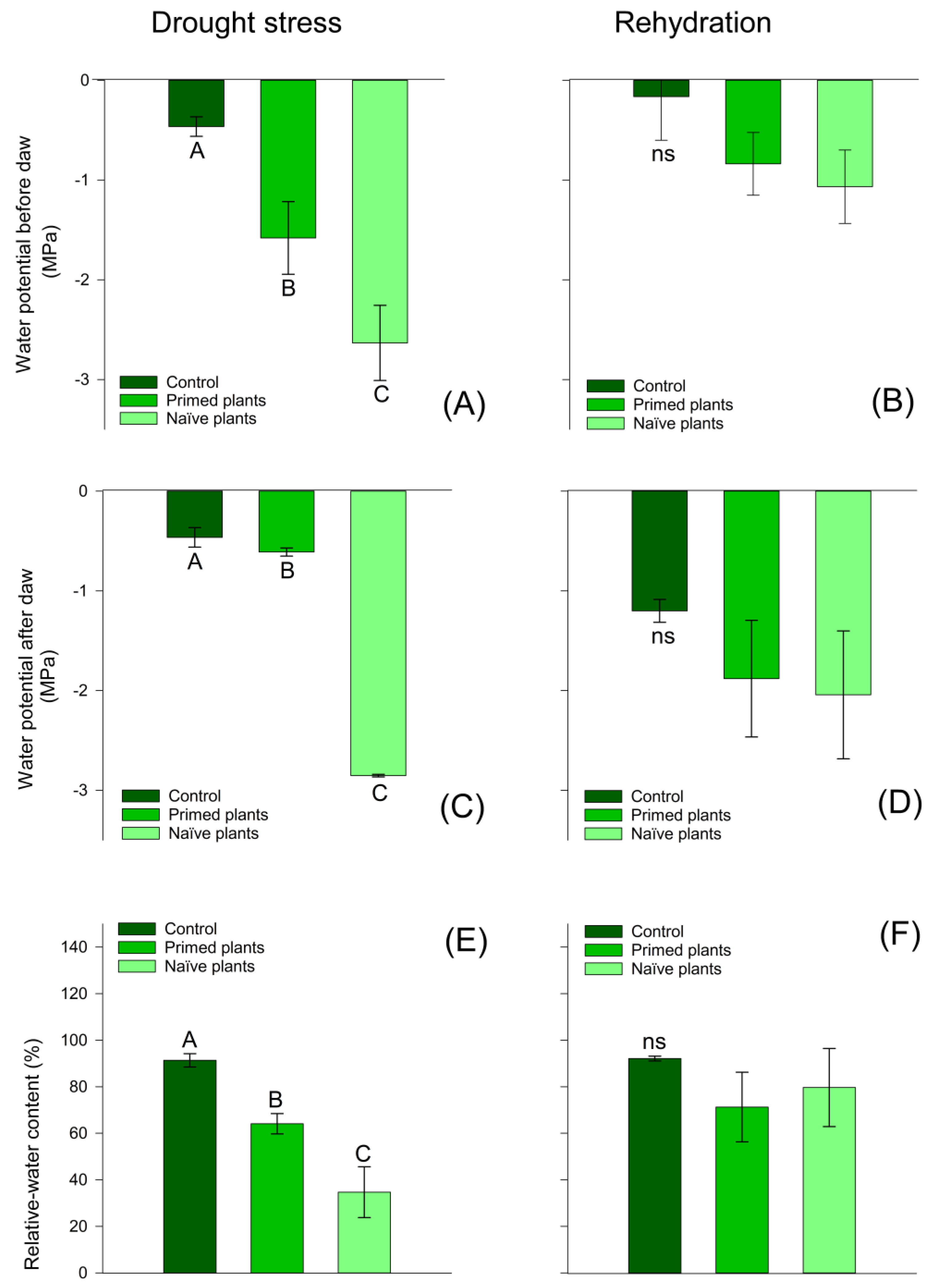 Plants 14 00555 g002