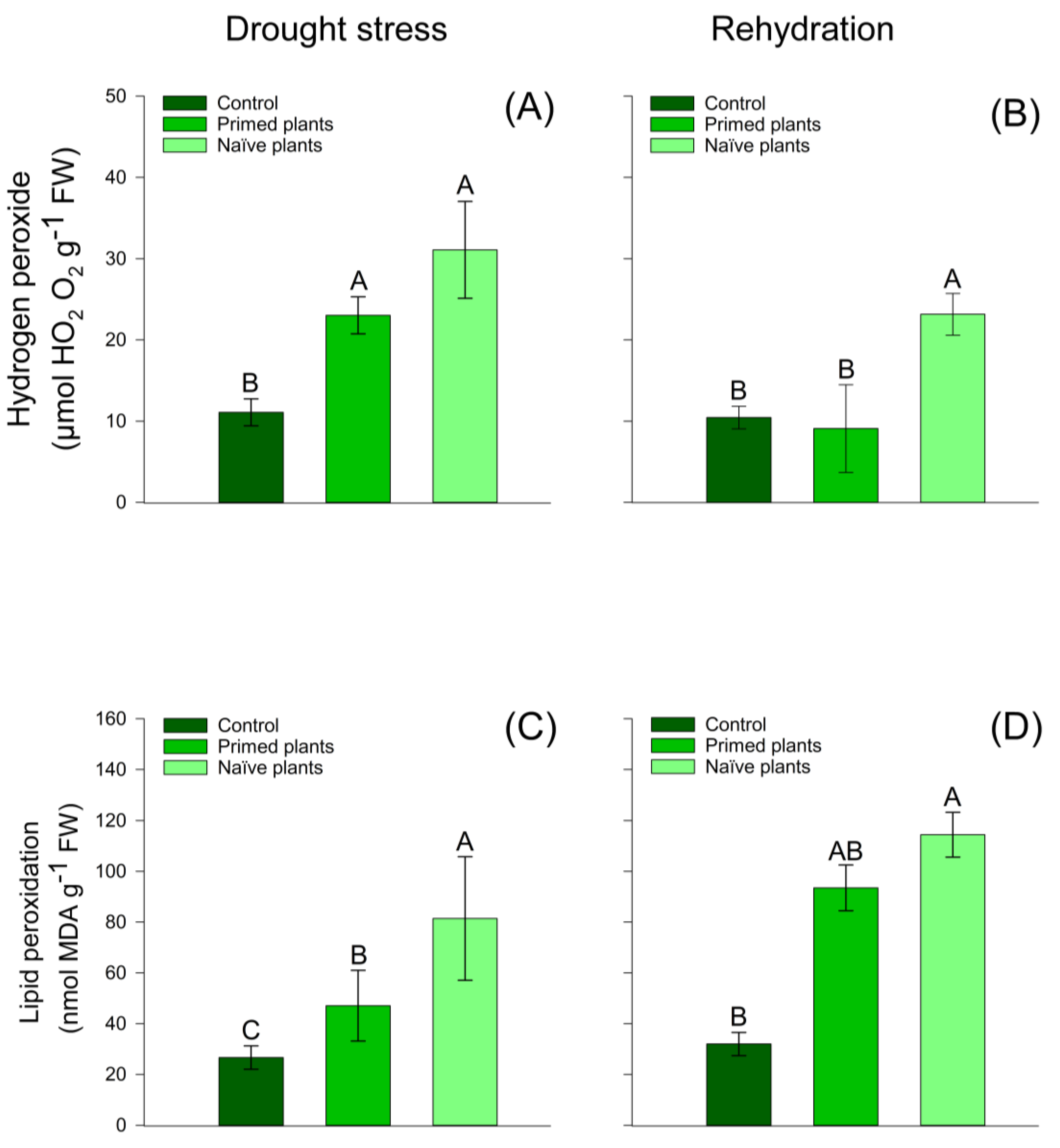 Plants 14 00555 g005