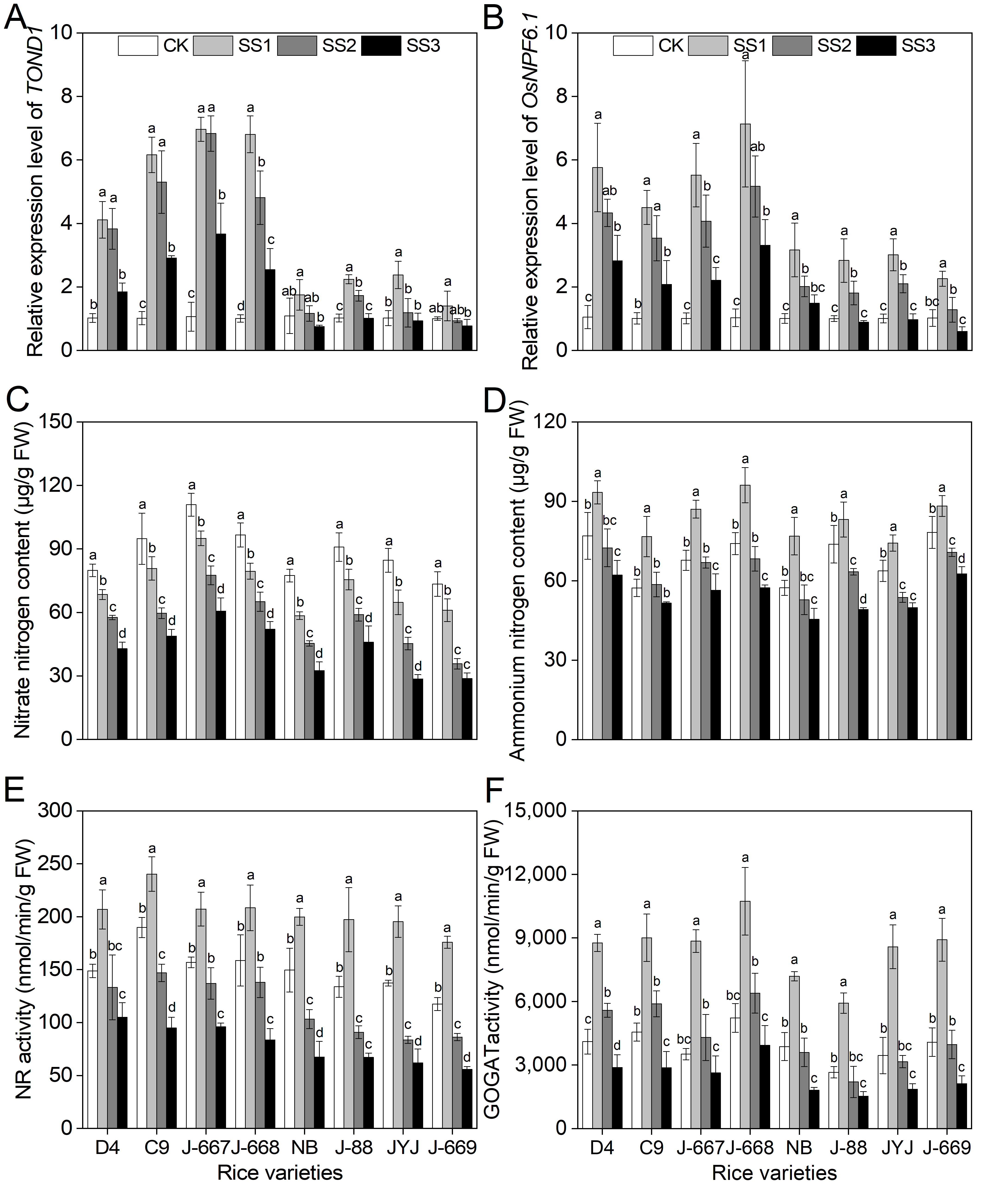 Plants 14 00556 g001