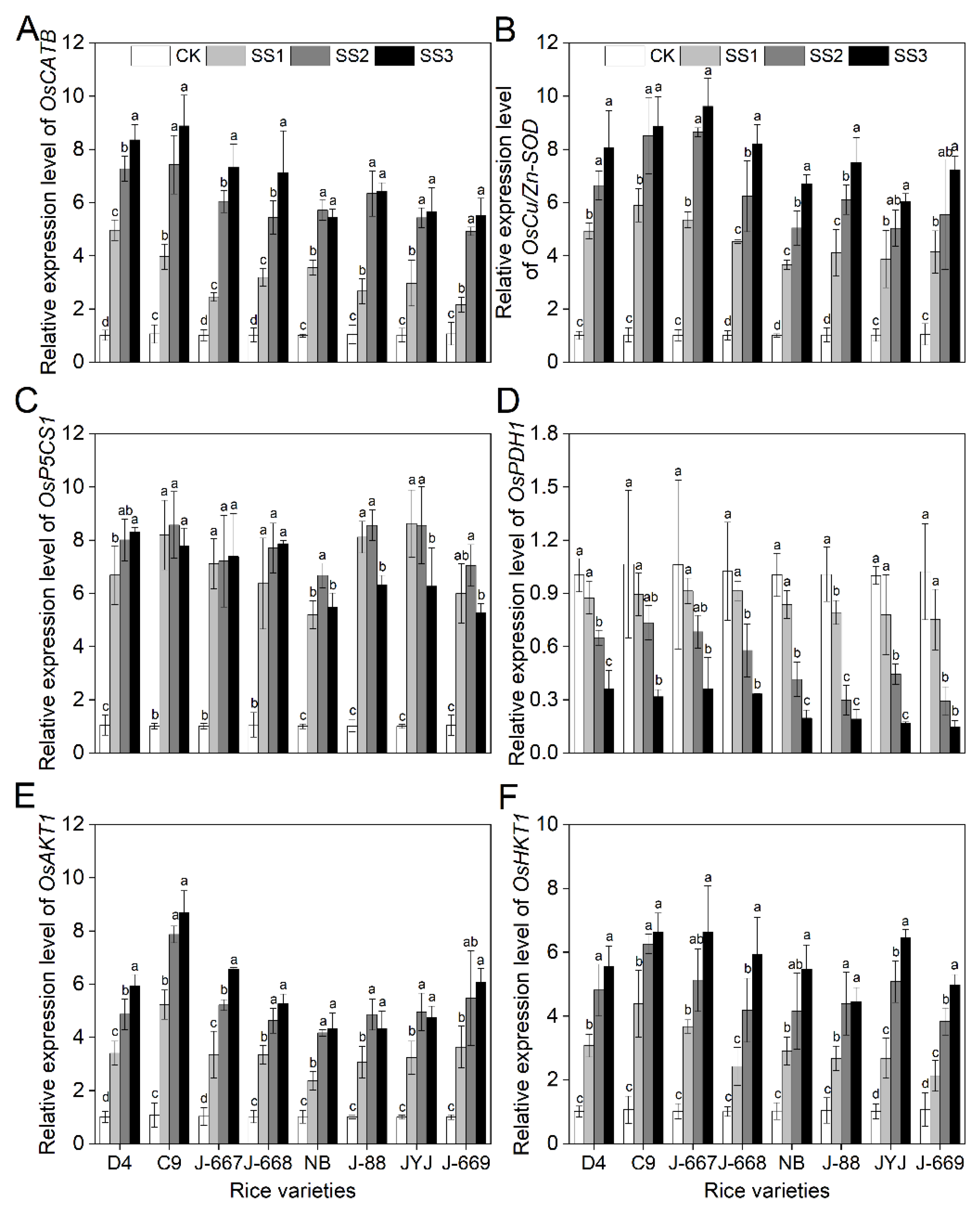 Plants 14 00556 g006