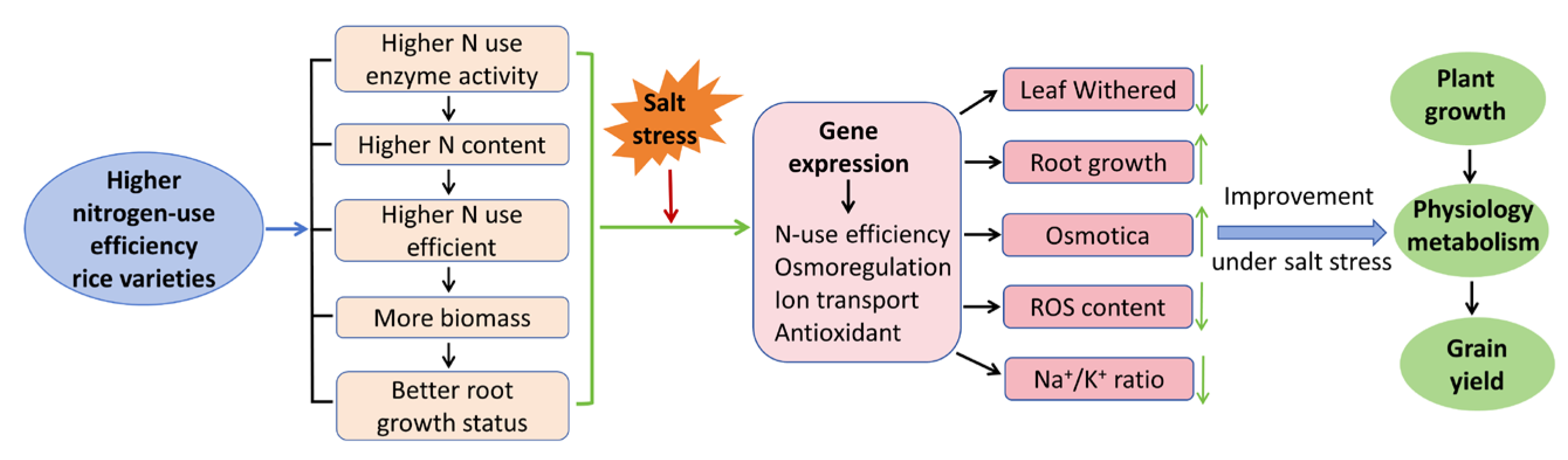 Plants 14 00556 g009